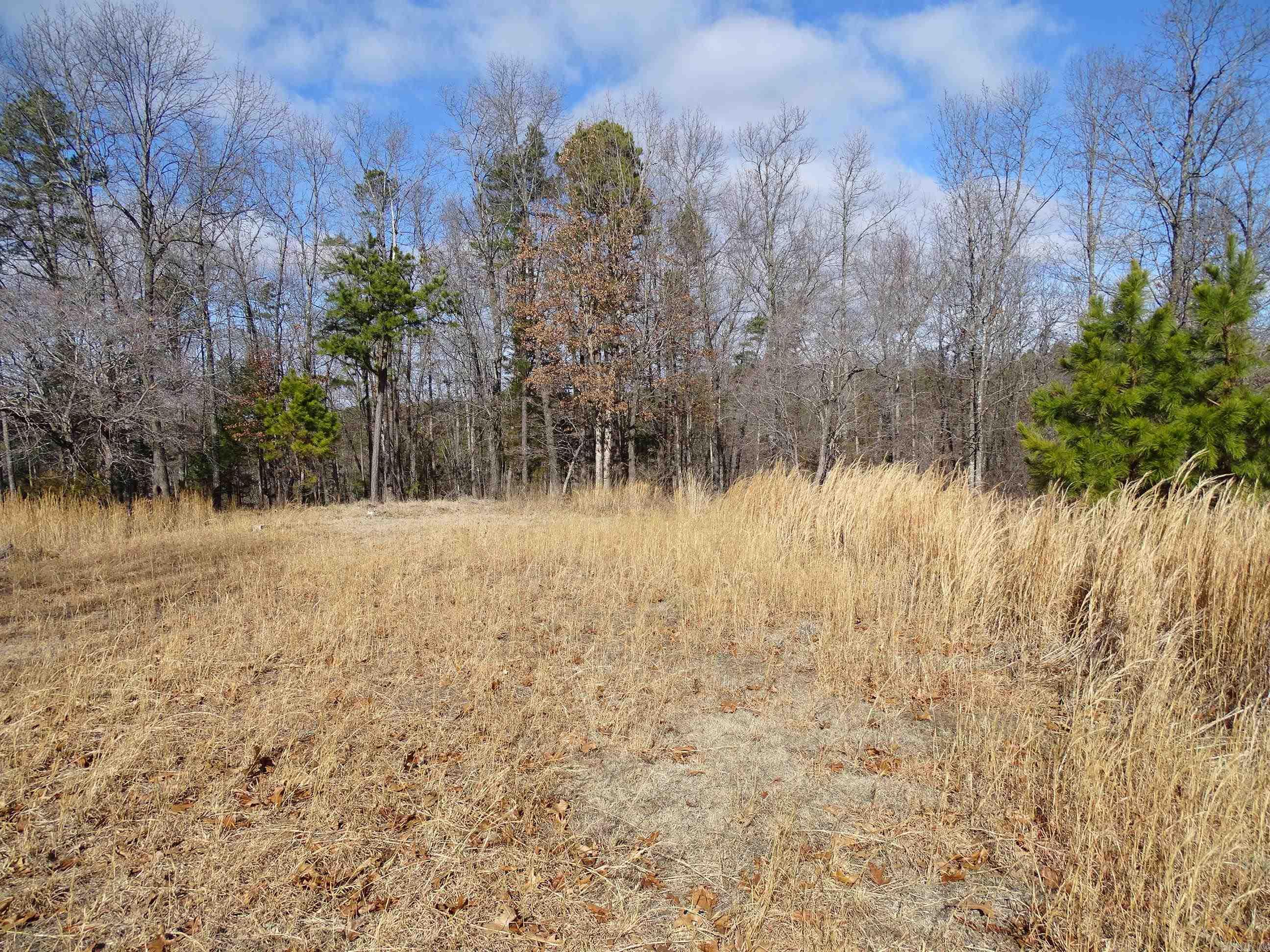 1163  Fee Hollow  Yellville, AR