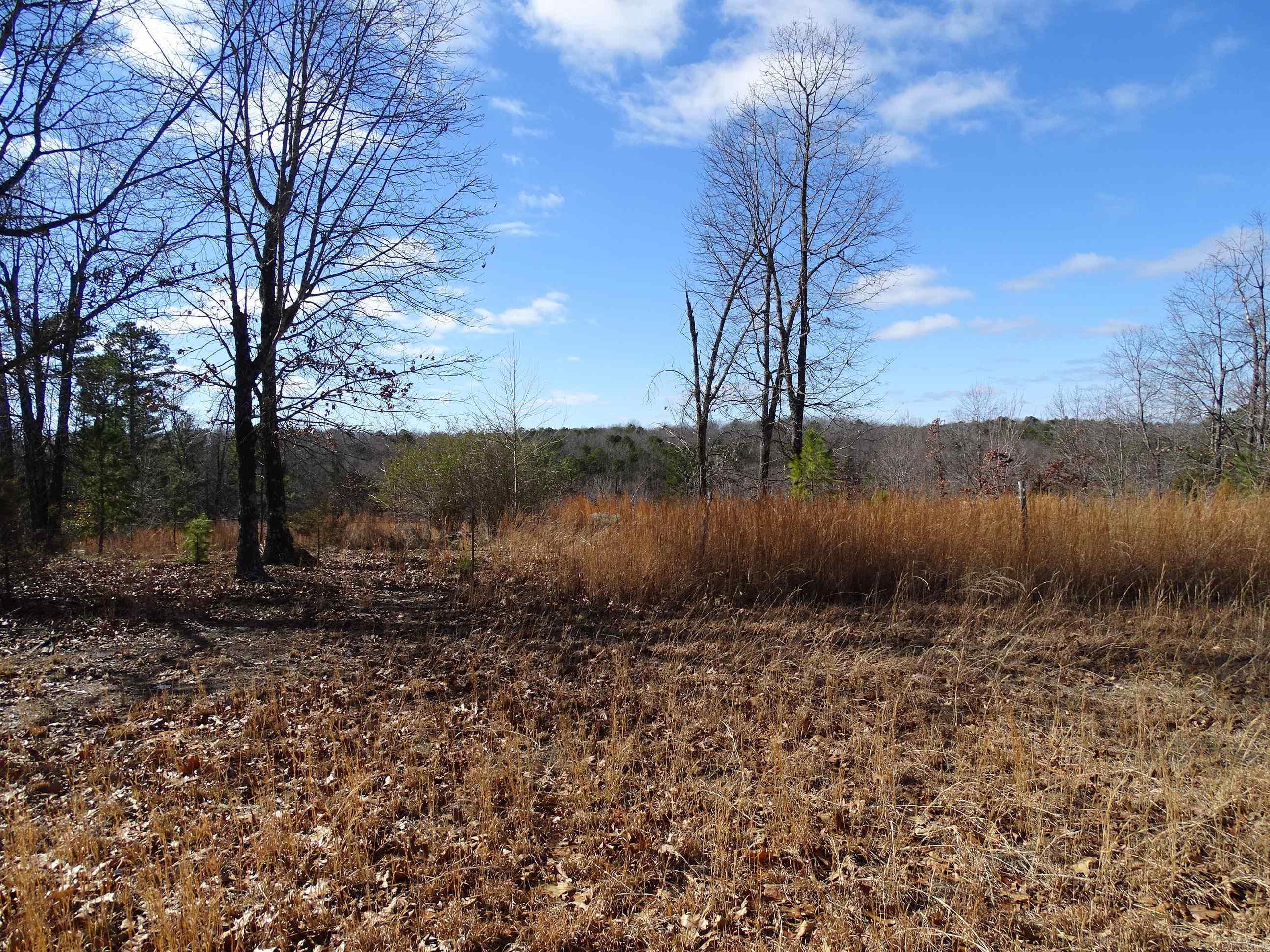 1163  Fee Hollow  Yellville, AR