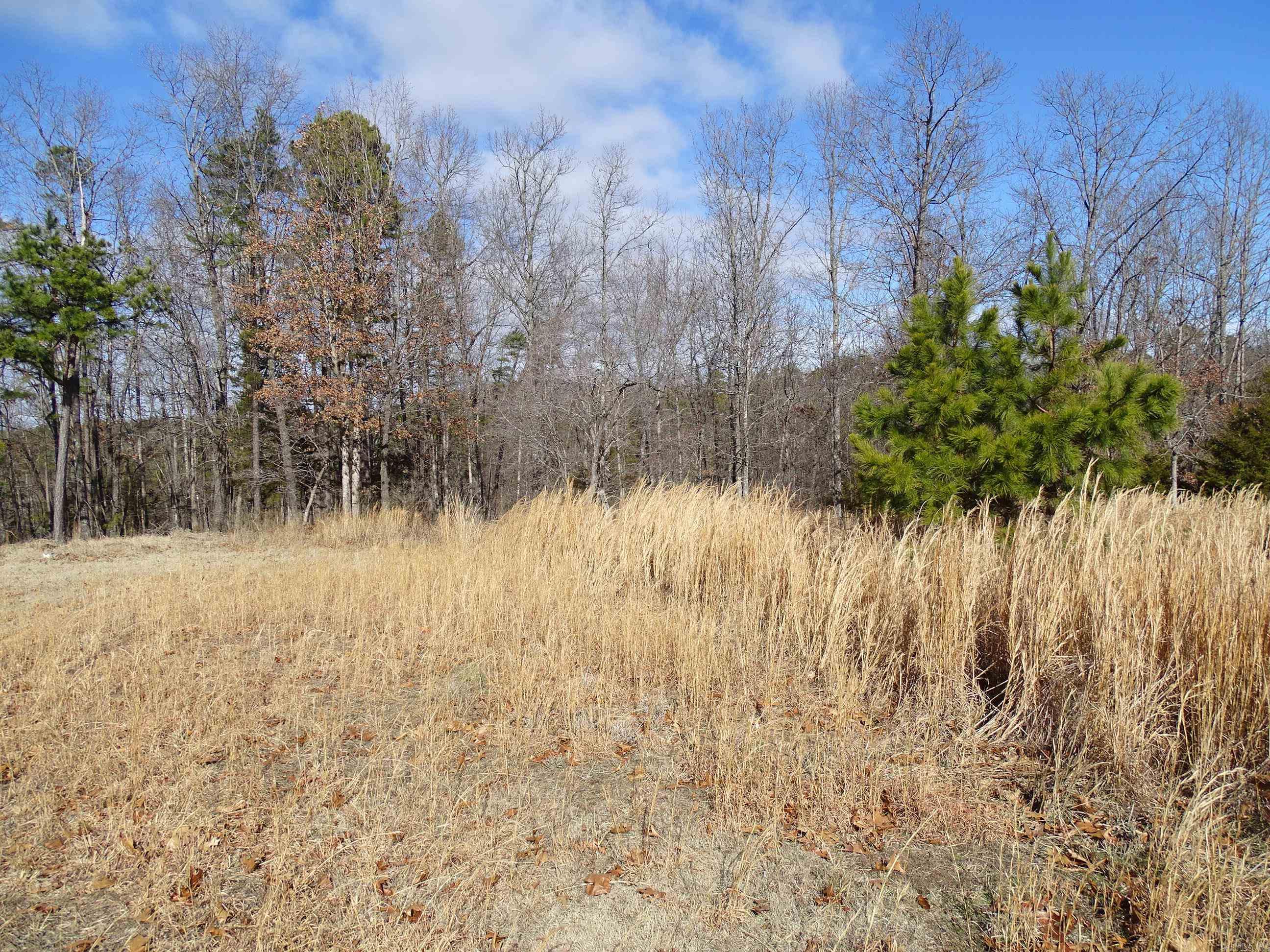 1163  Fee Hollow  Yellville, AR