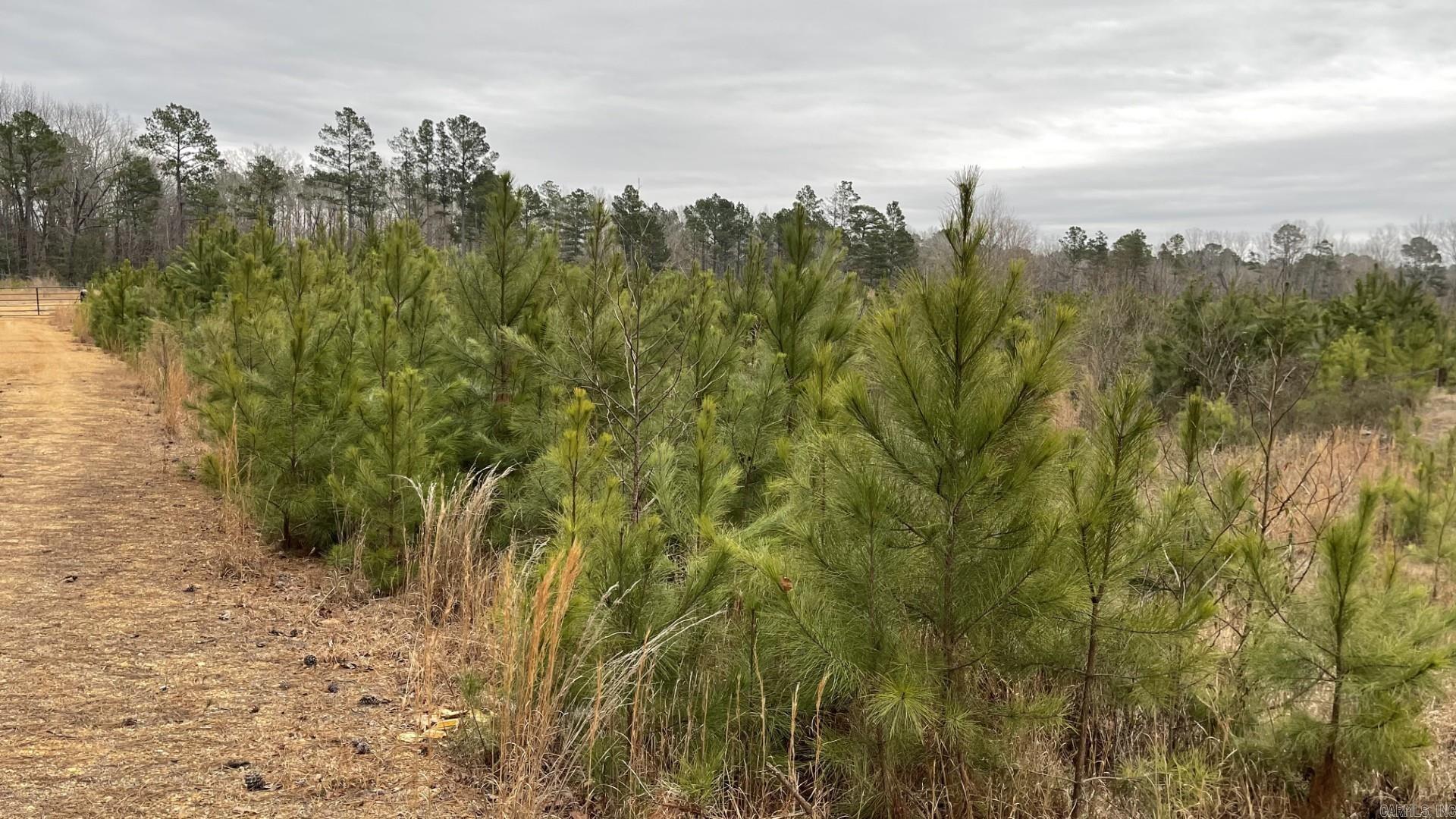 4684-4866  AR-291  Prattsville, AR