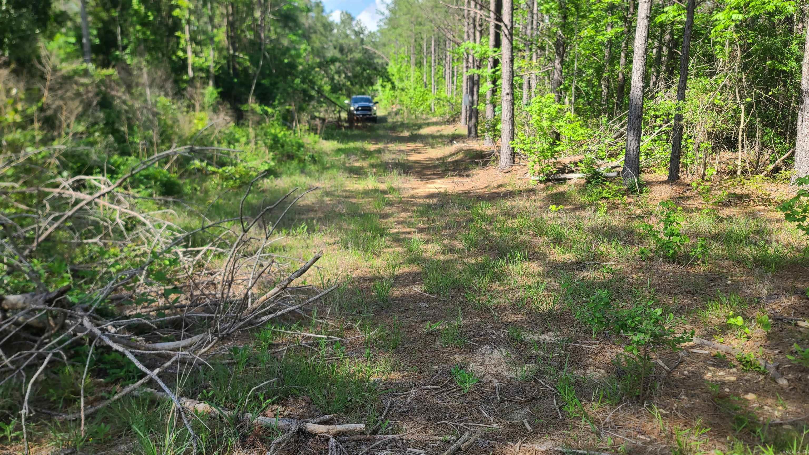   Hwy 371  Prescott, AR