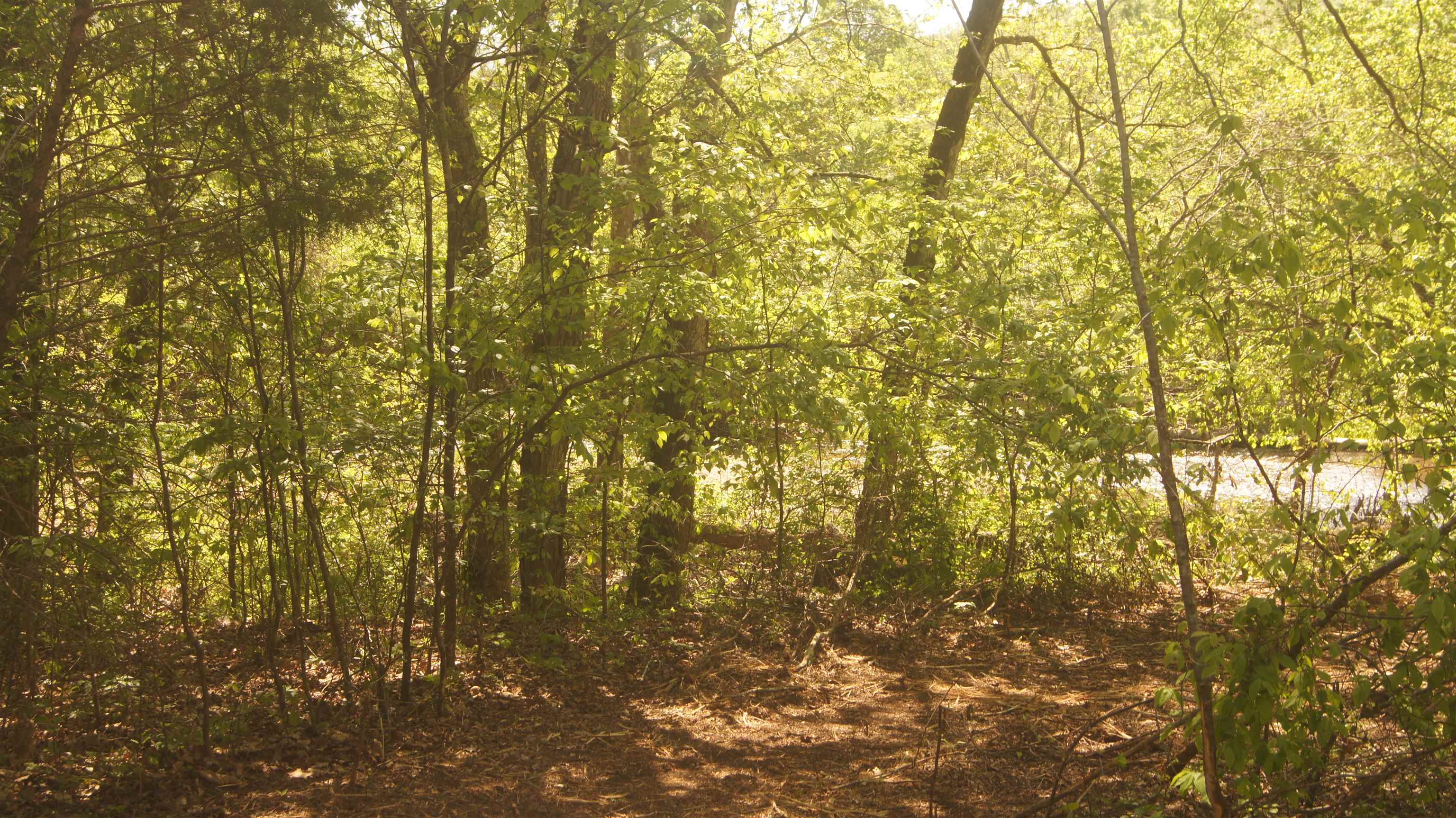 Lot 2  Booth Creek Road  Williford, AR