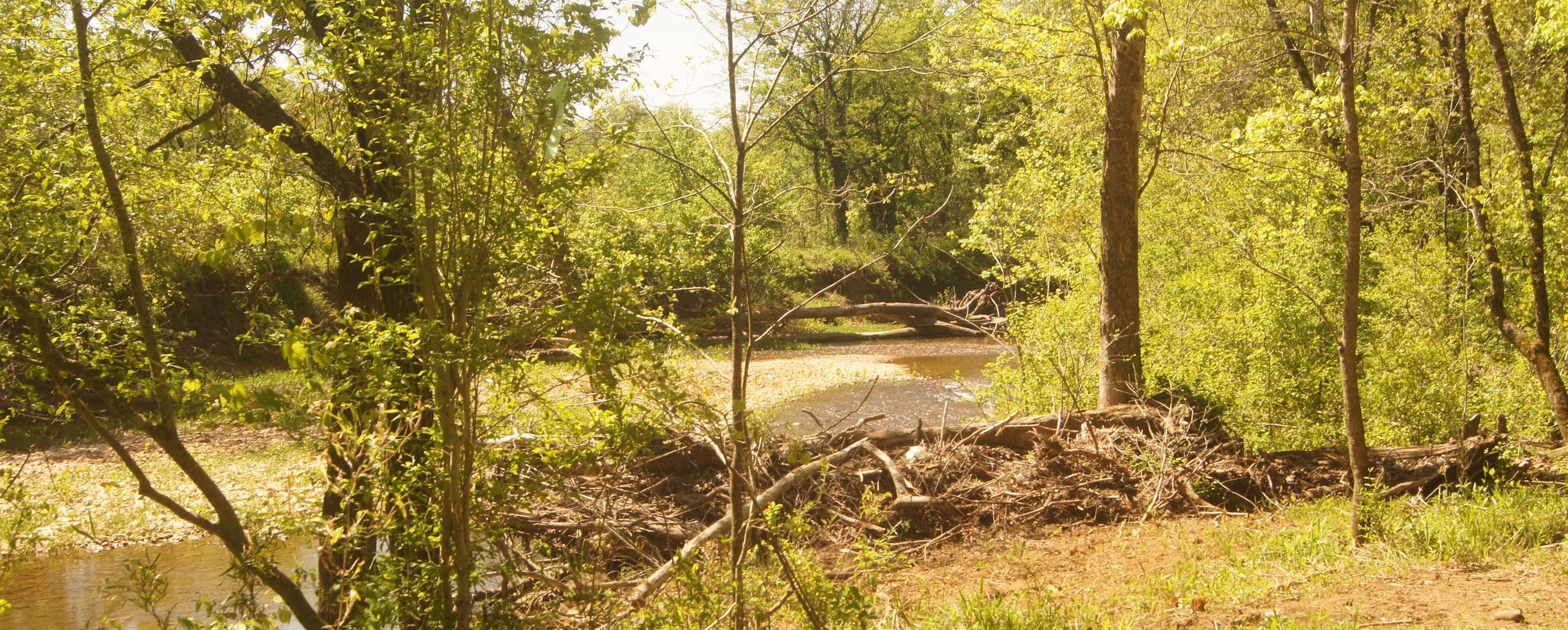 Lot 2  Booth Creek Road  Williford, AR