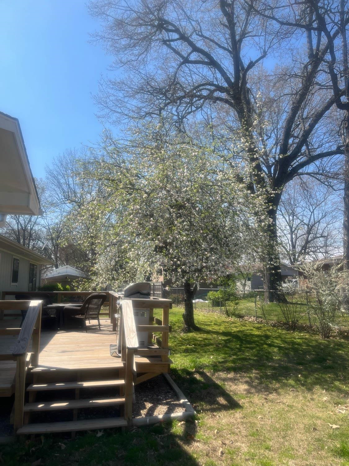 1001  Heatherdown Trail  Mountain Home, AR