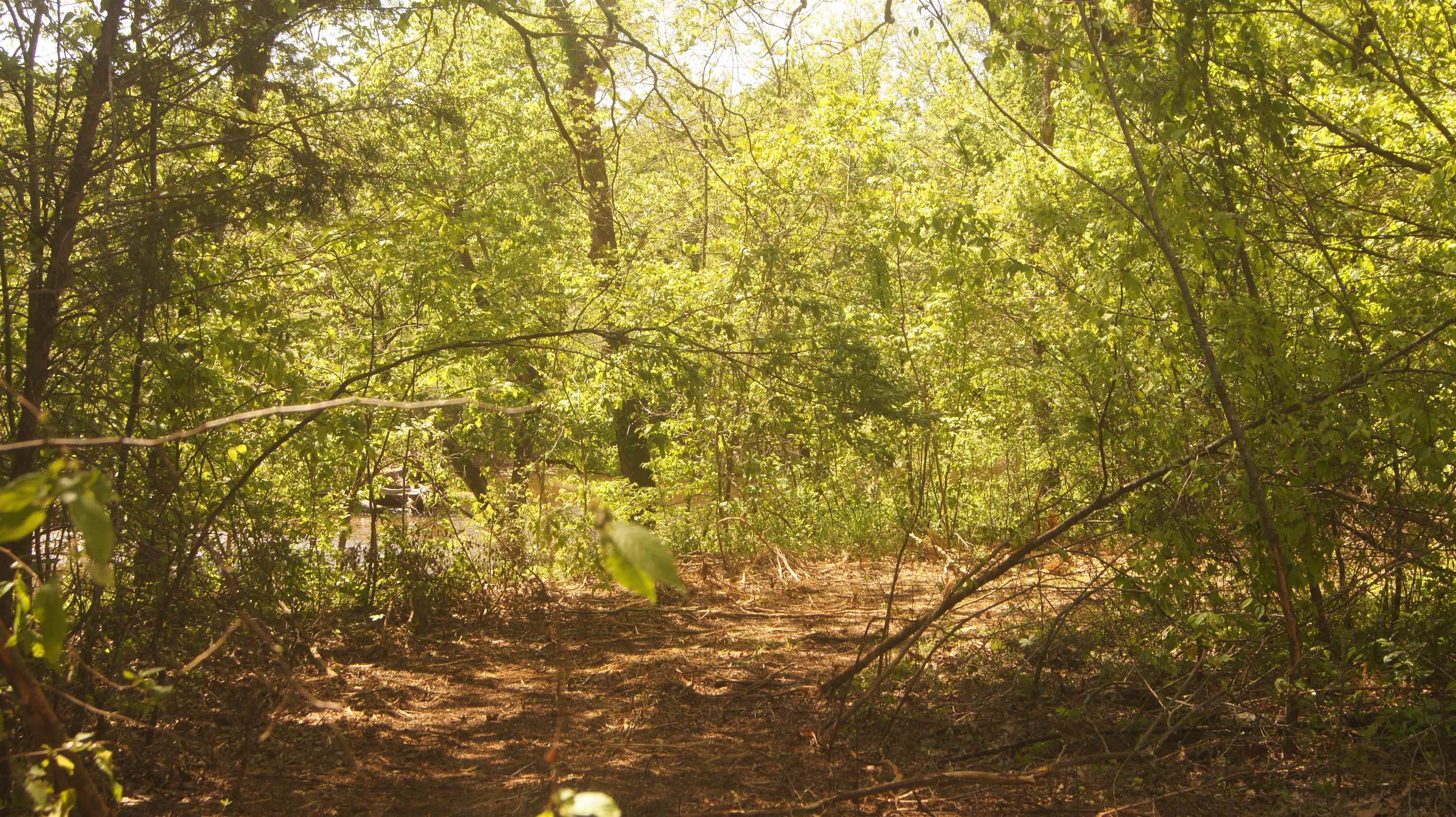 Lot 3  Booth Creek Road  Williford, AR