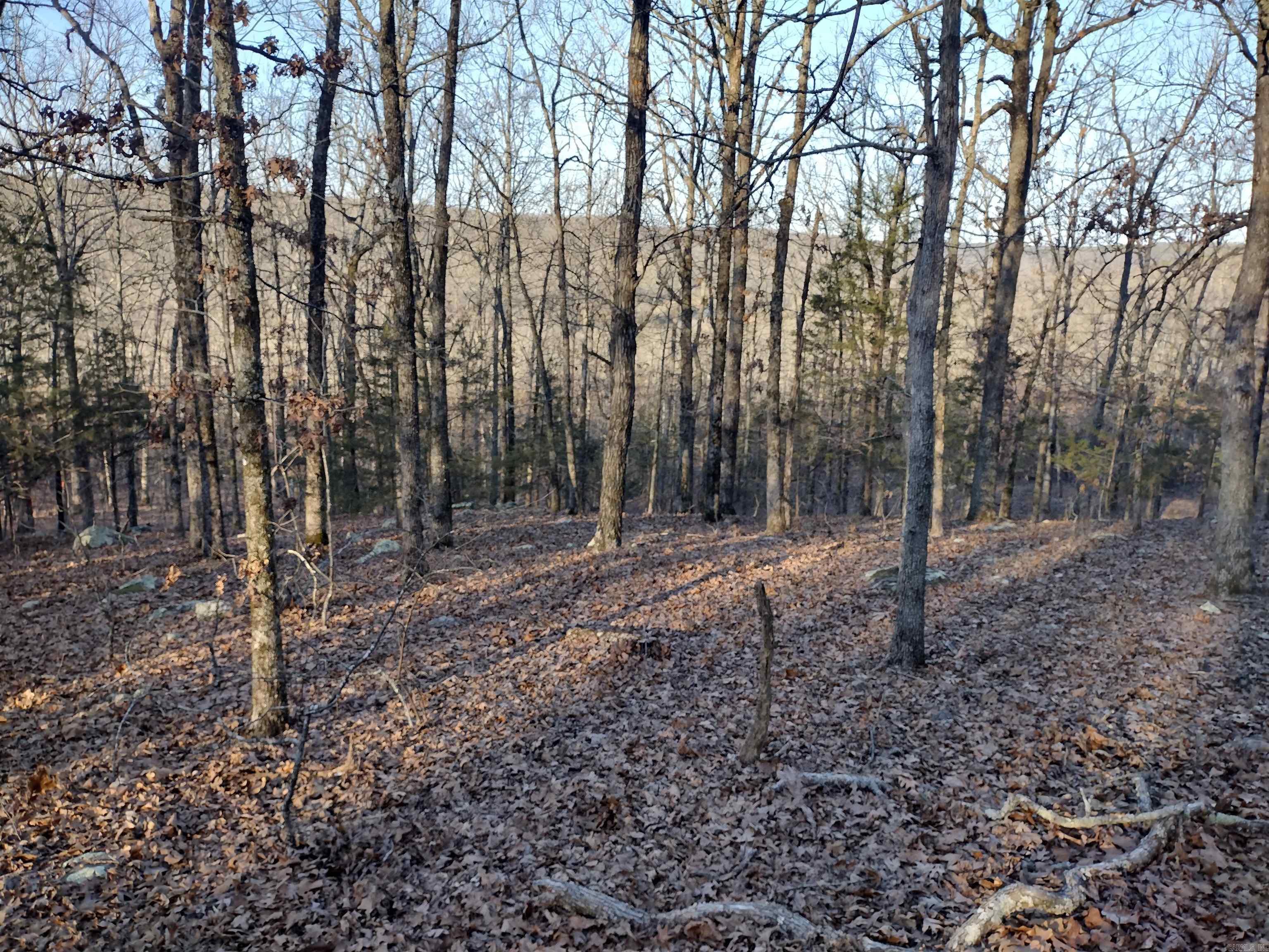 408  Monahan RD  Mountain View, AR