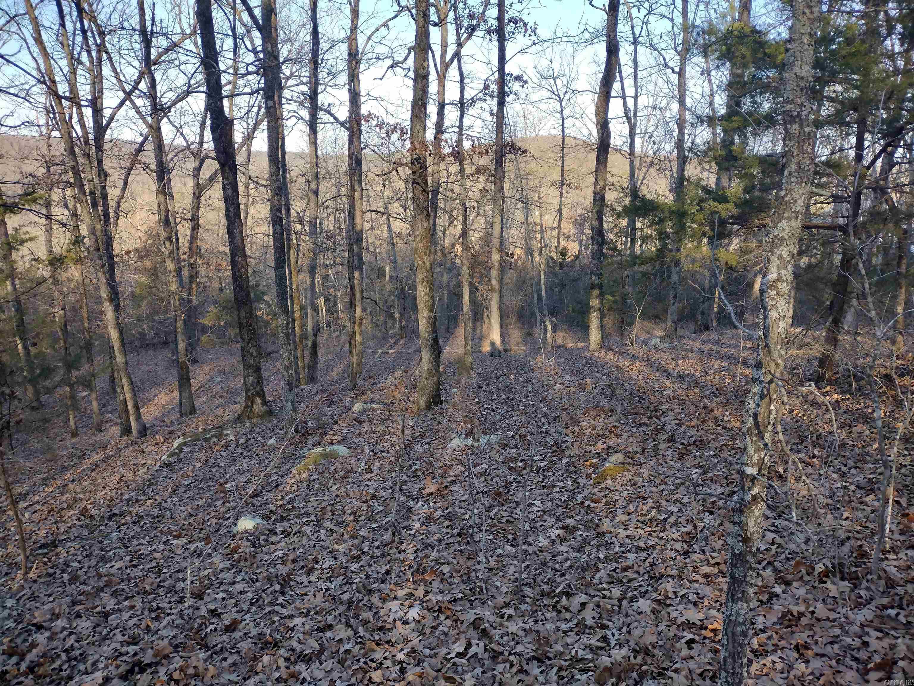 408  Monahan RD  Mountain View, AR