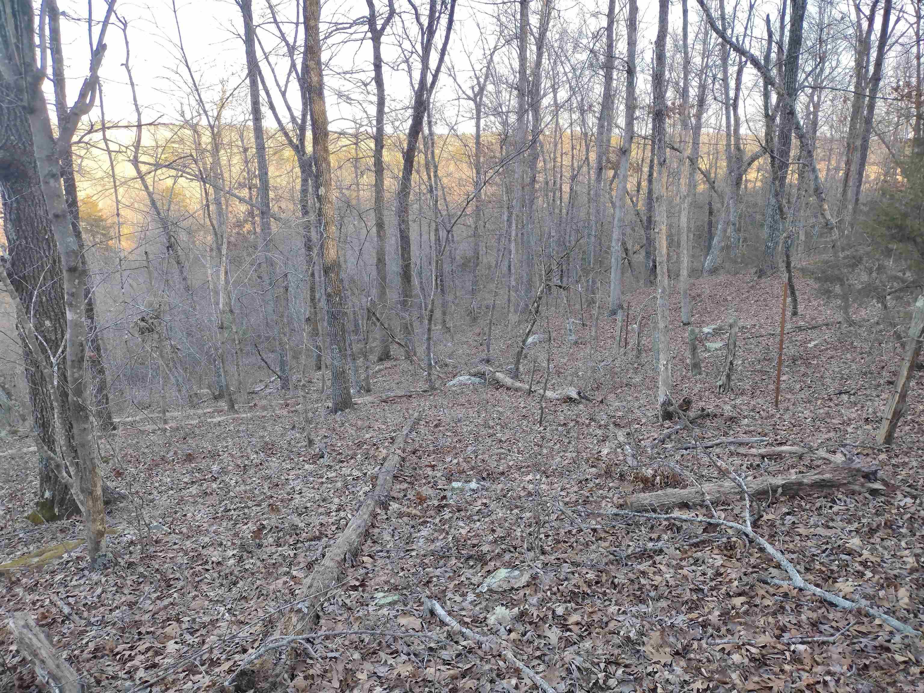 408  Monahan RD  Mountain View, AR
