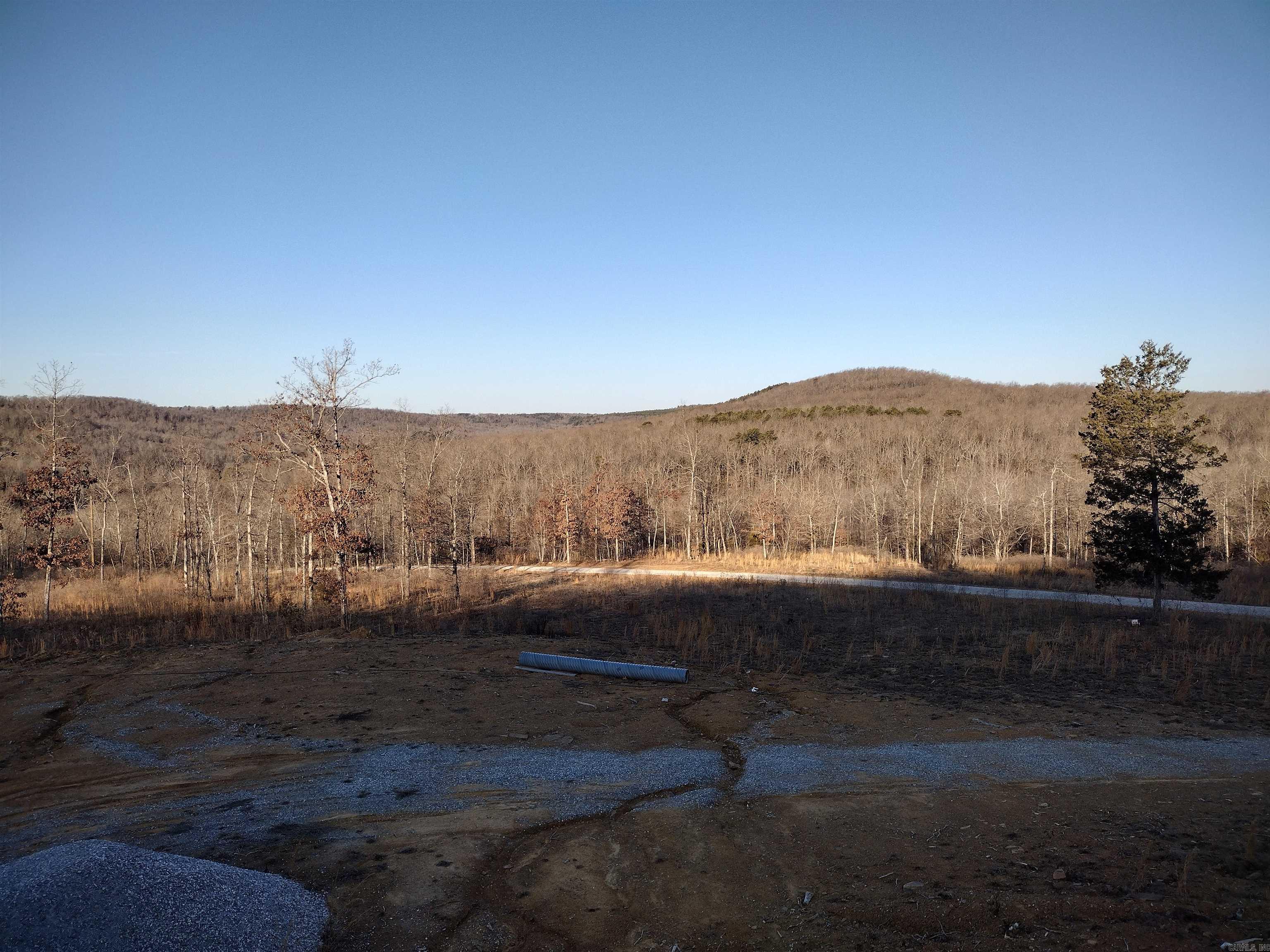 408  Monahan RD  Mountain View, AR