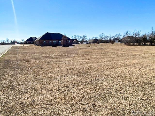 46  Alexandrea  Greenbrier, AR