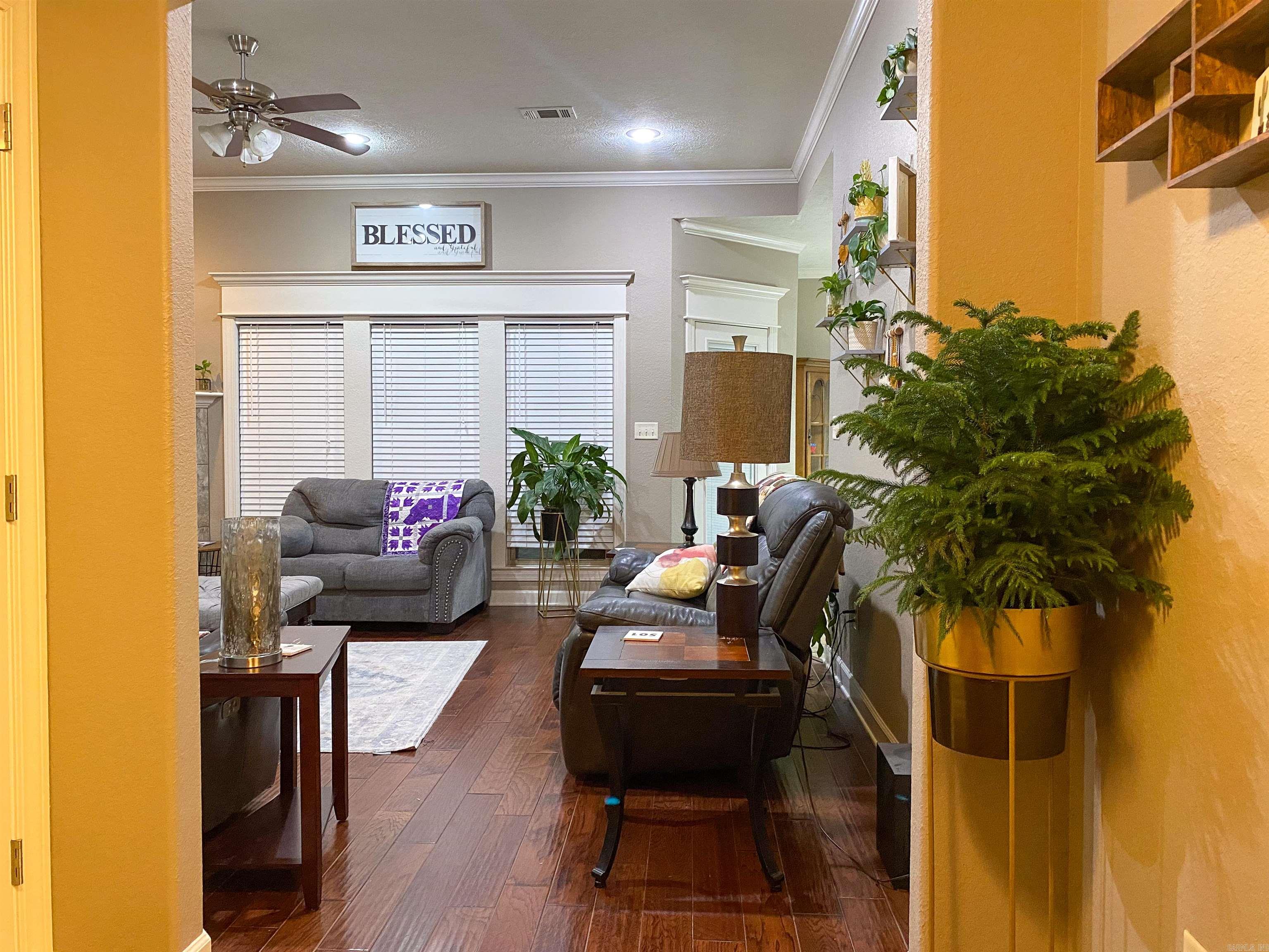 46  Alexandrea  Greenbrier, AR