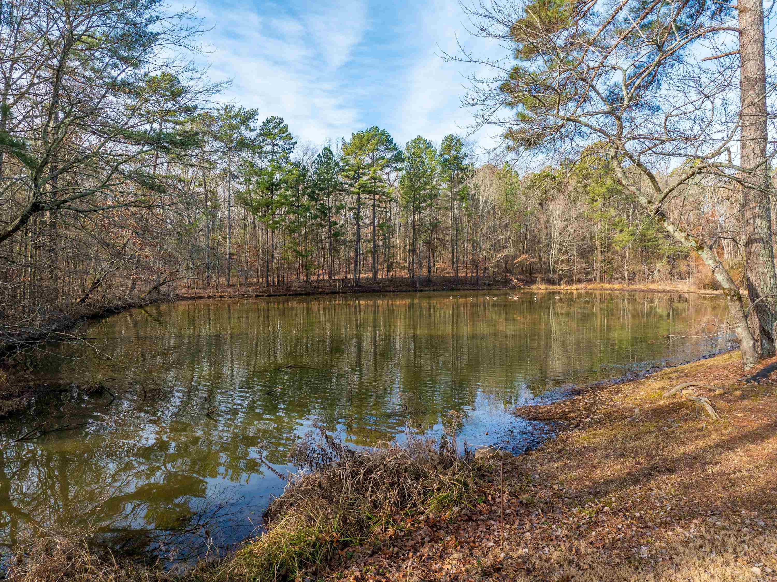 8001  Kanis Pines  Little Rock, AR