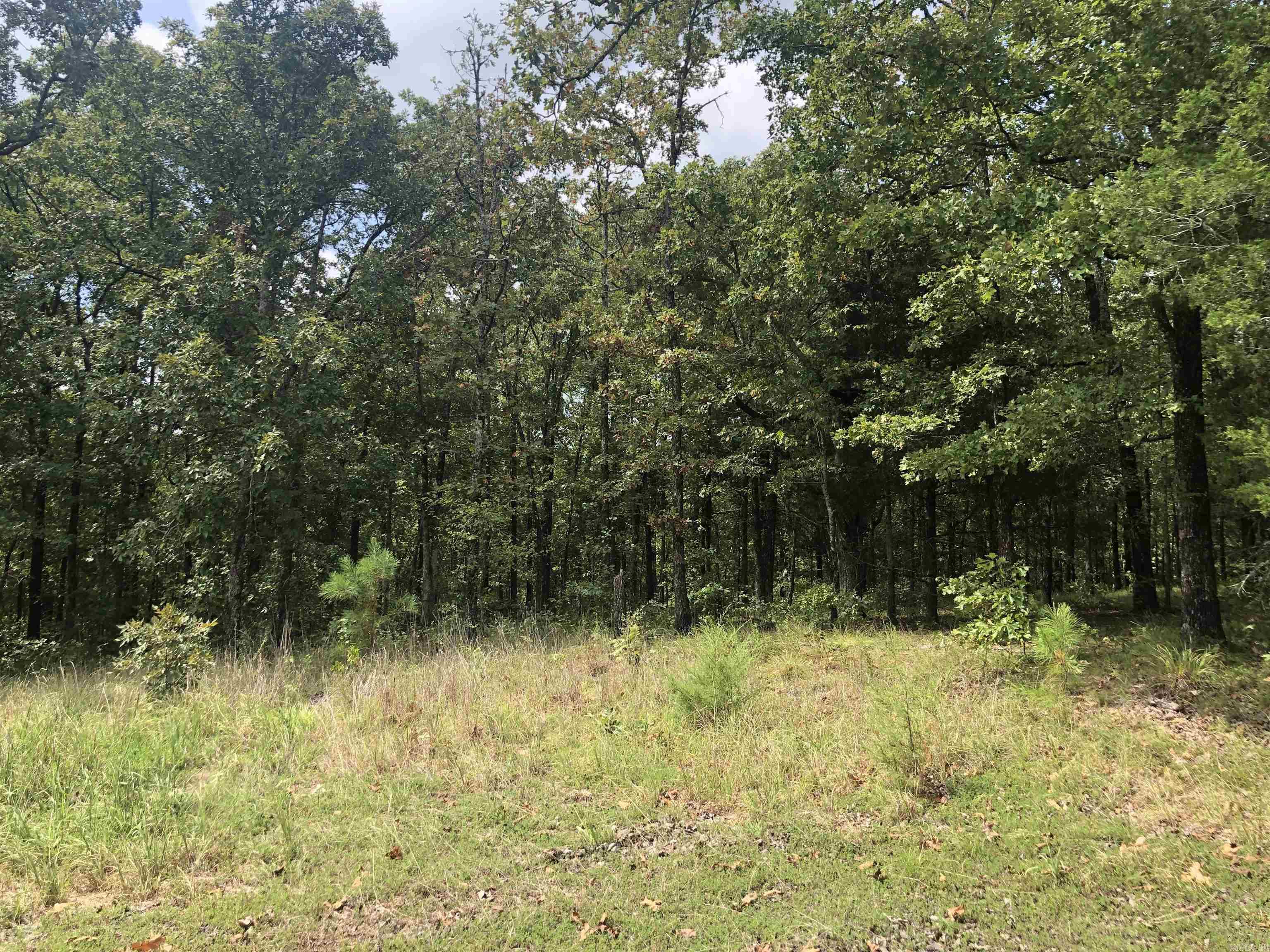 Lot 15,16,17  Golden Meadows  Vilonia, AR