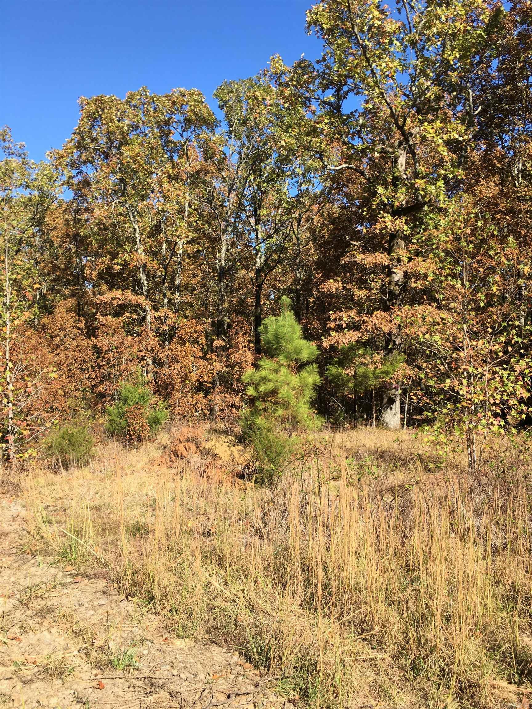 Lot 15,16,17  Golden Meadows  Vilonia, AR