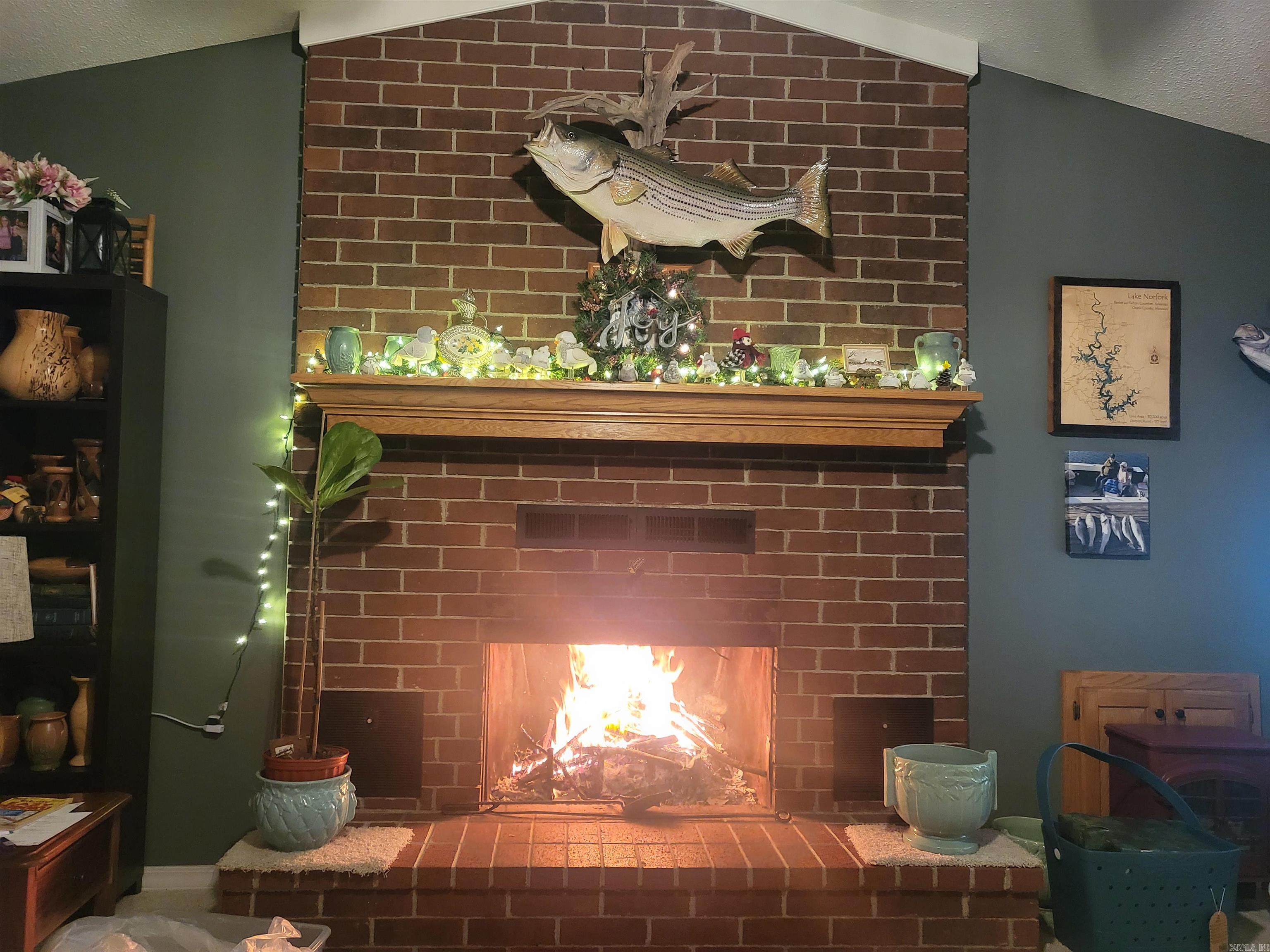 37 Fontaine Street Clarksville, AR 72830