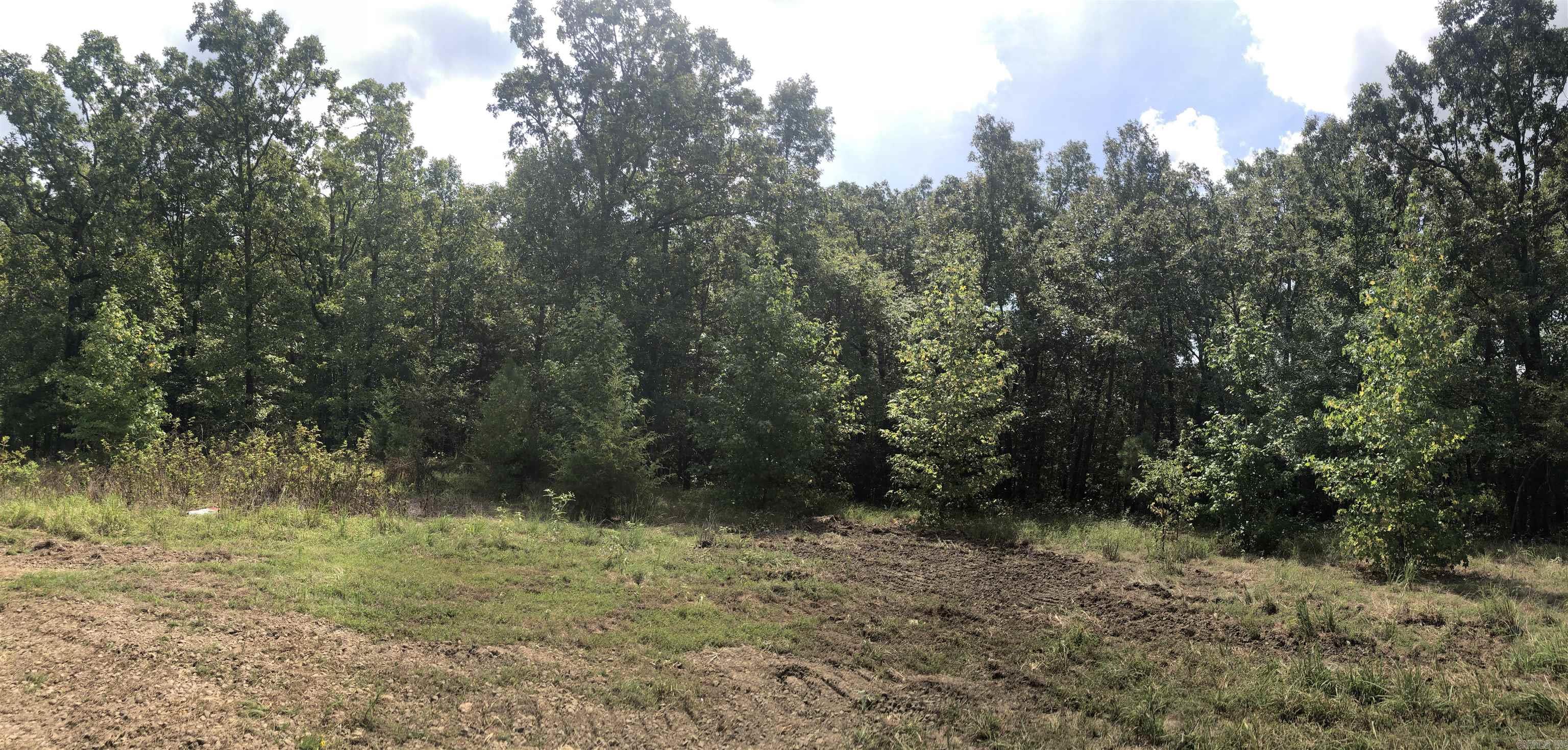 Tract 17  Golden Meadows  Vilonia, AR