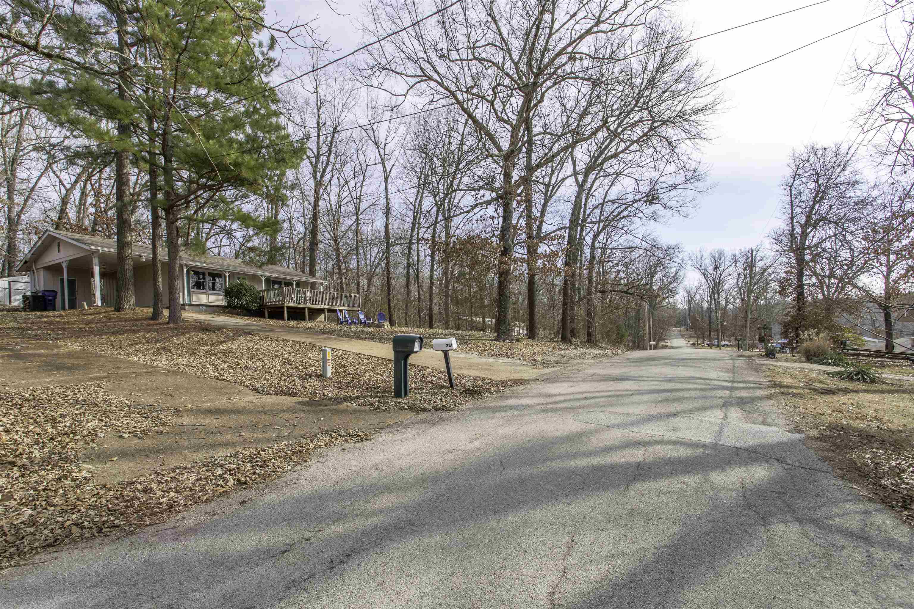 231 E Lakeshore  Cherokee Village, AR
