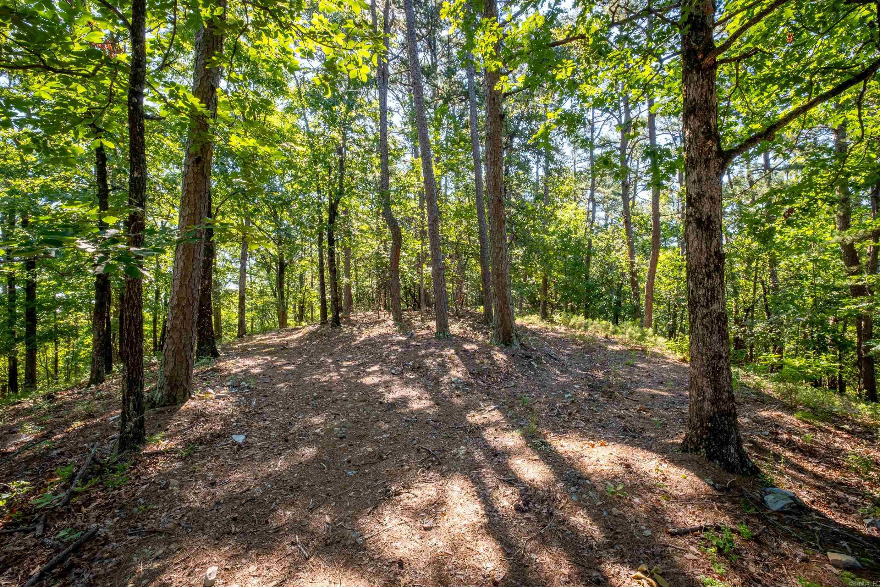 0  Burlingame Road  Little Rock, AR