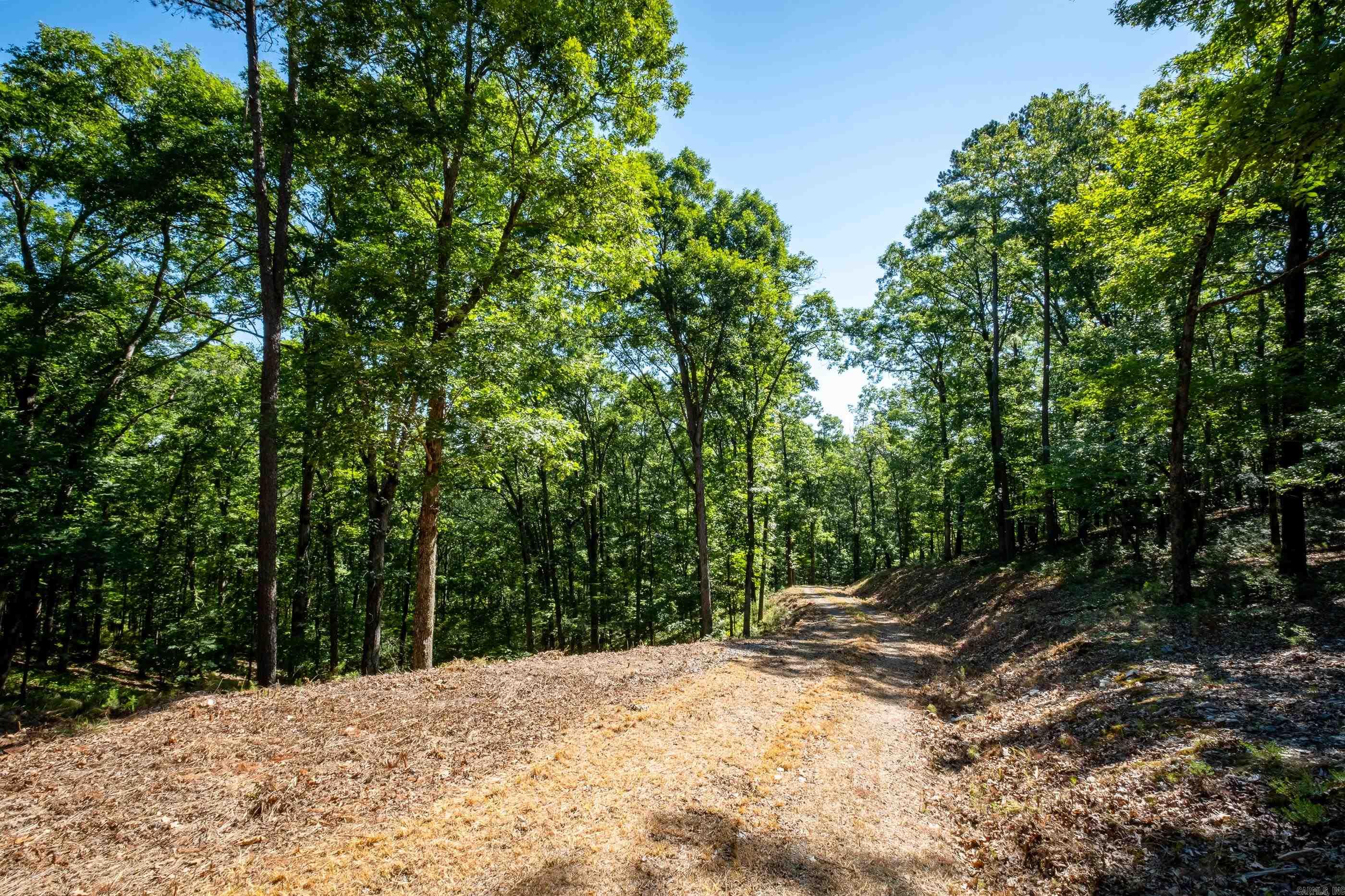 0  Burlingame Road  Little Rock, AR
