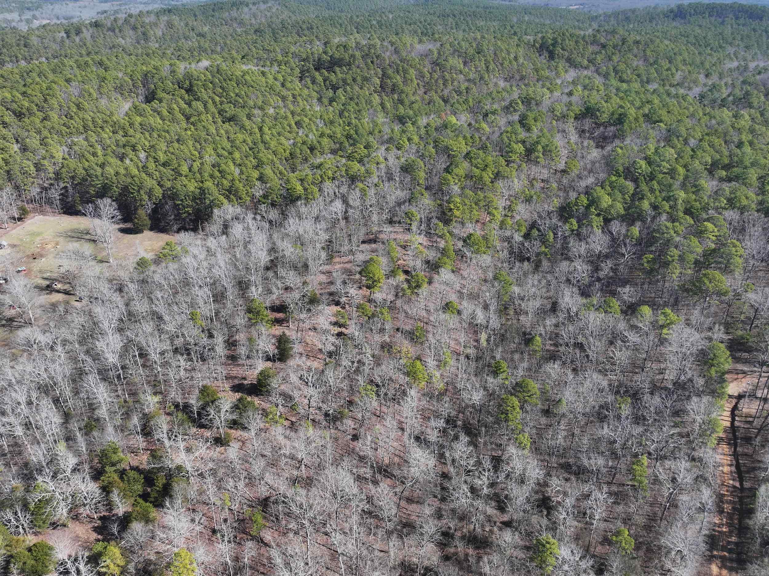 000  CAVANAUGH  Royal, AR