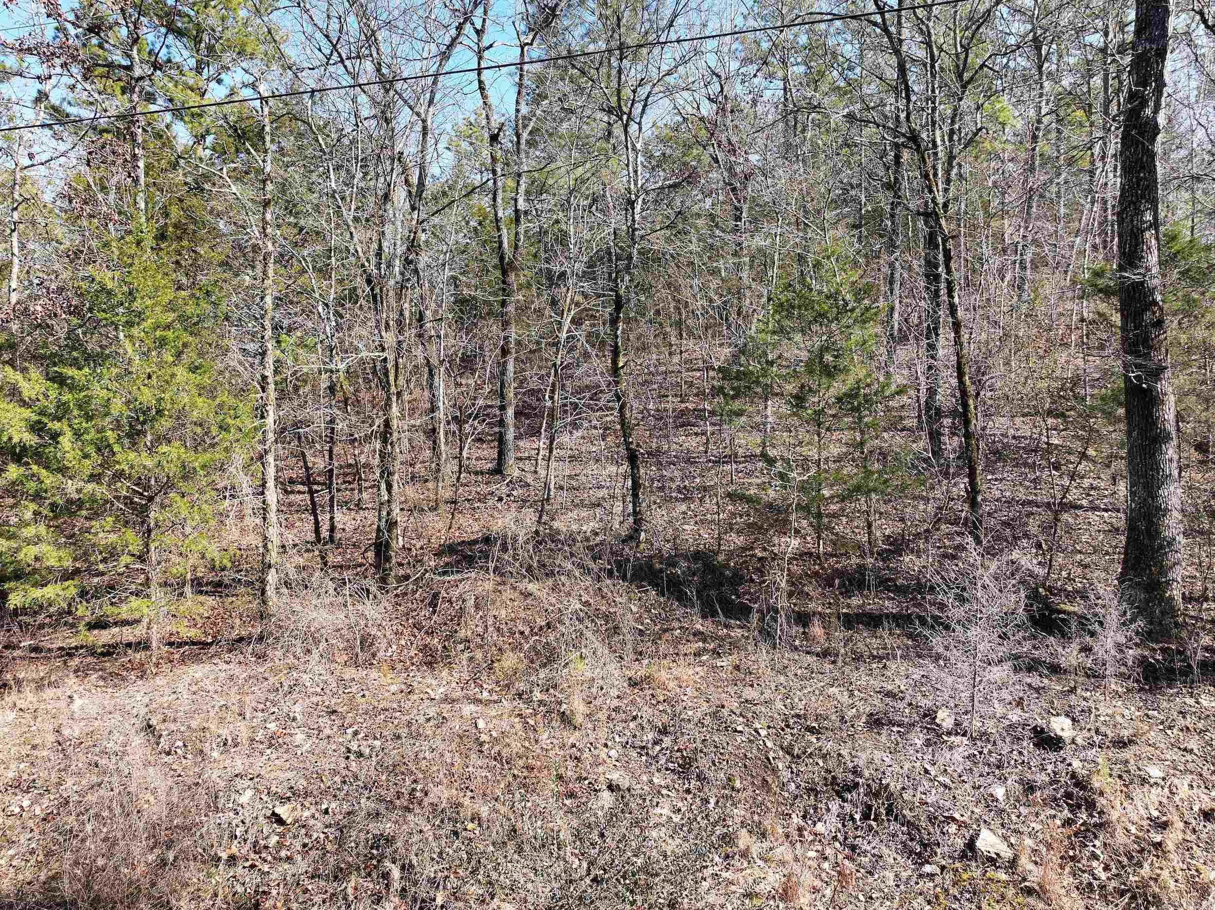 000  CAVANAUGH  Royal, AR