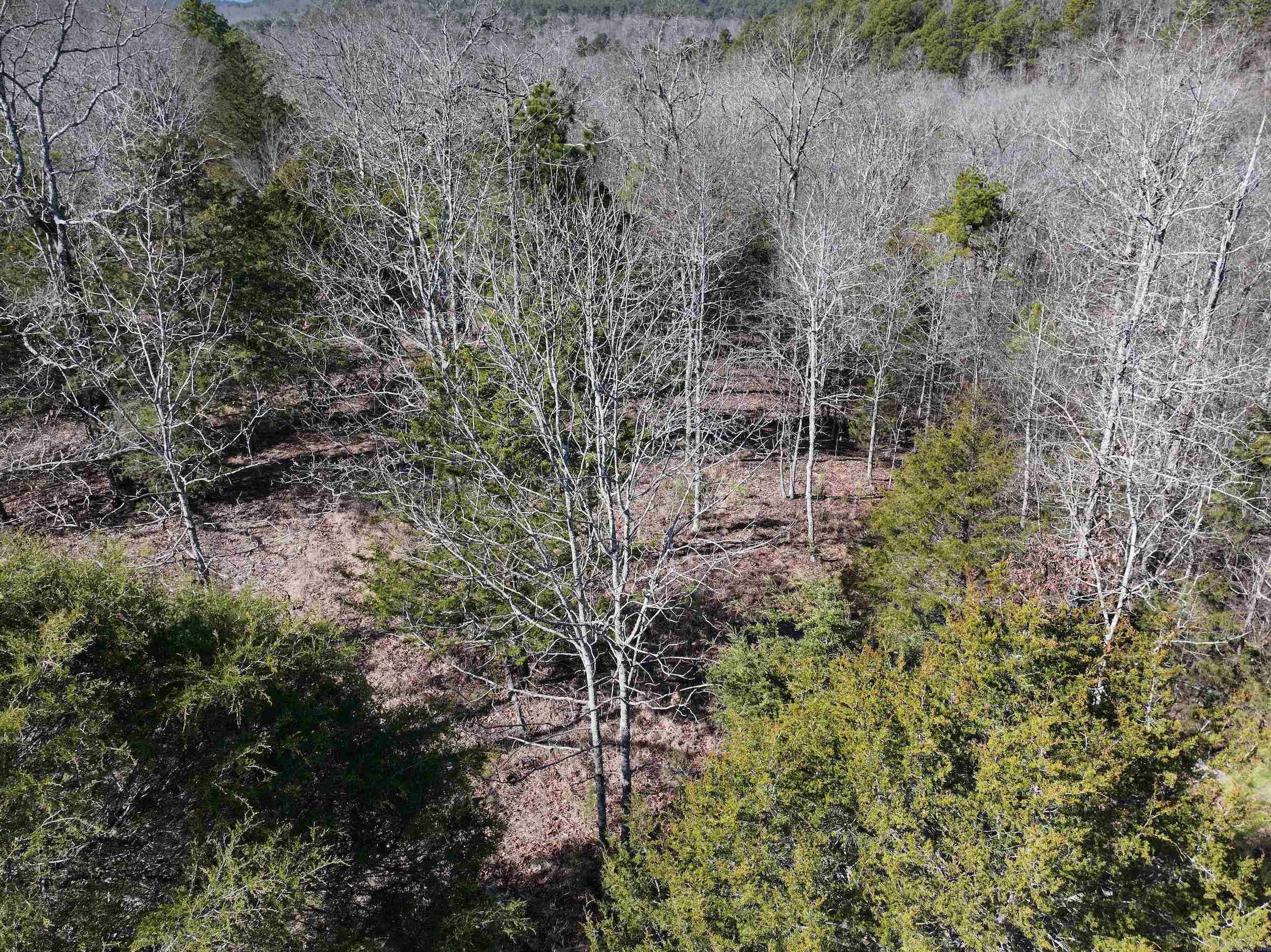 000  CAVANAUGH  Royal, AR