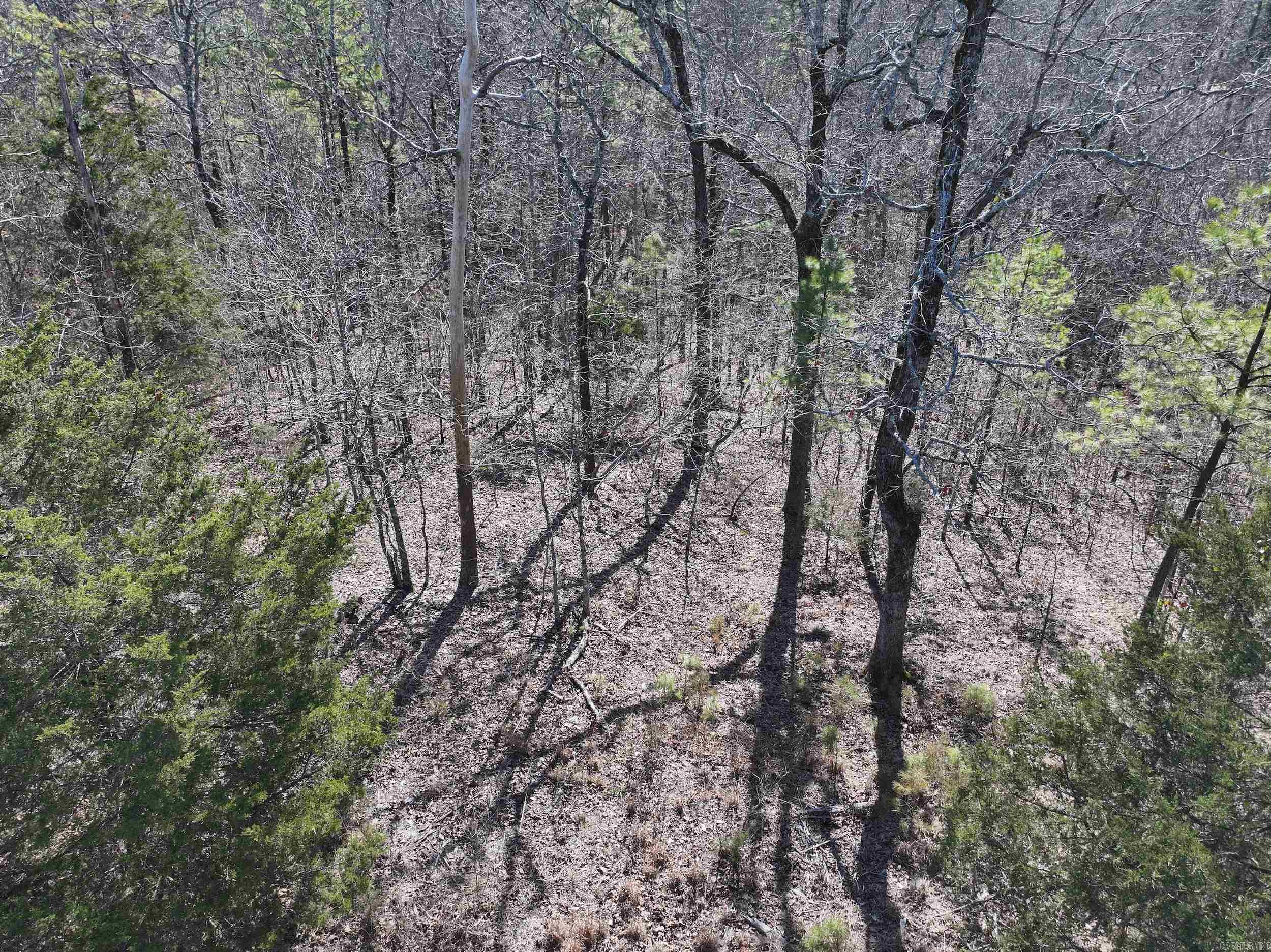 000  CAVANAUGH  Royal, AR