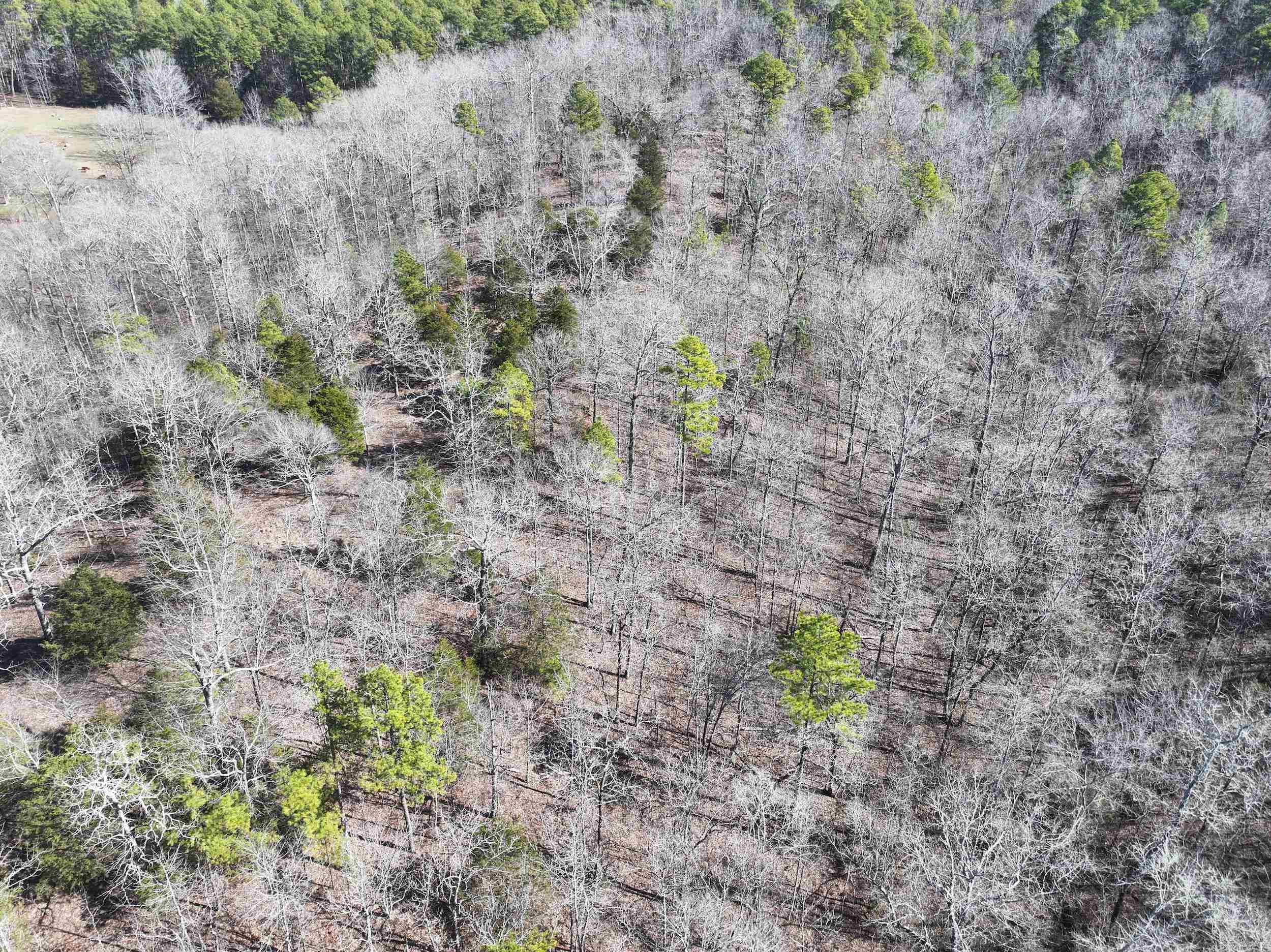 000  CAVANAUGH  Royal, AR