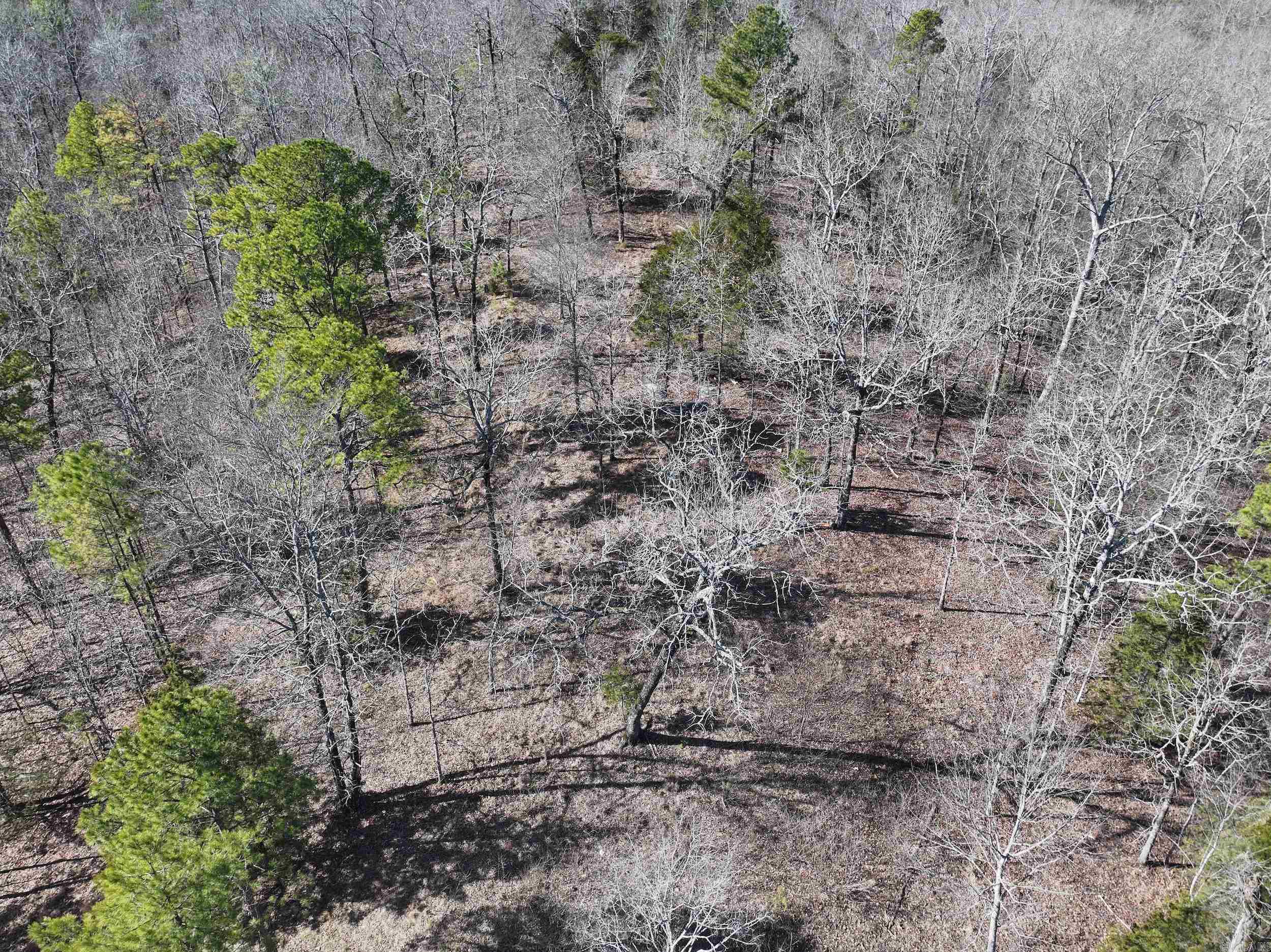 000  CAVANAUGH  Royal, AR
