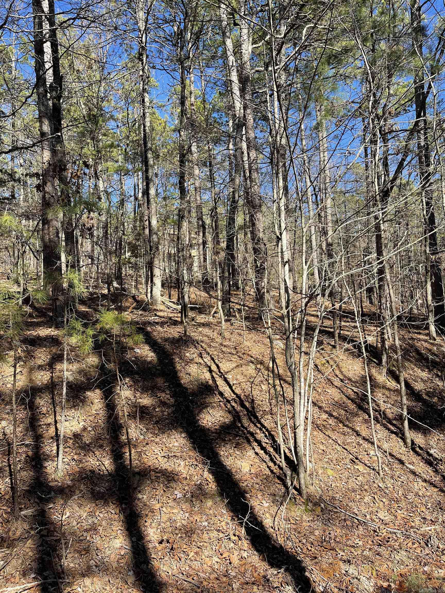 14  Cervera Way  Hot Springs Village, AR