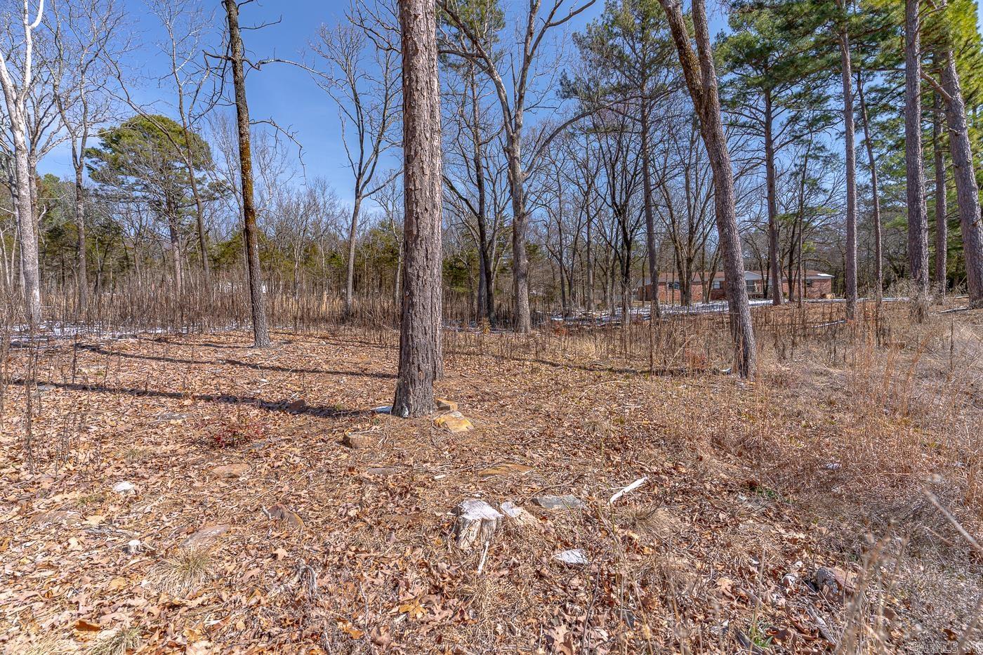 257  Cagle Rock  Russellville, AR