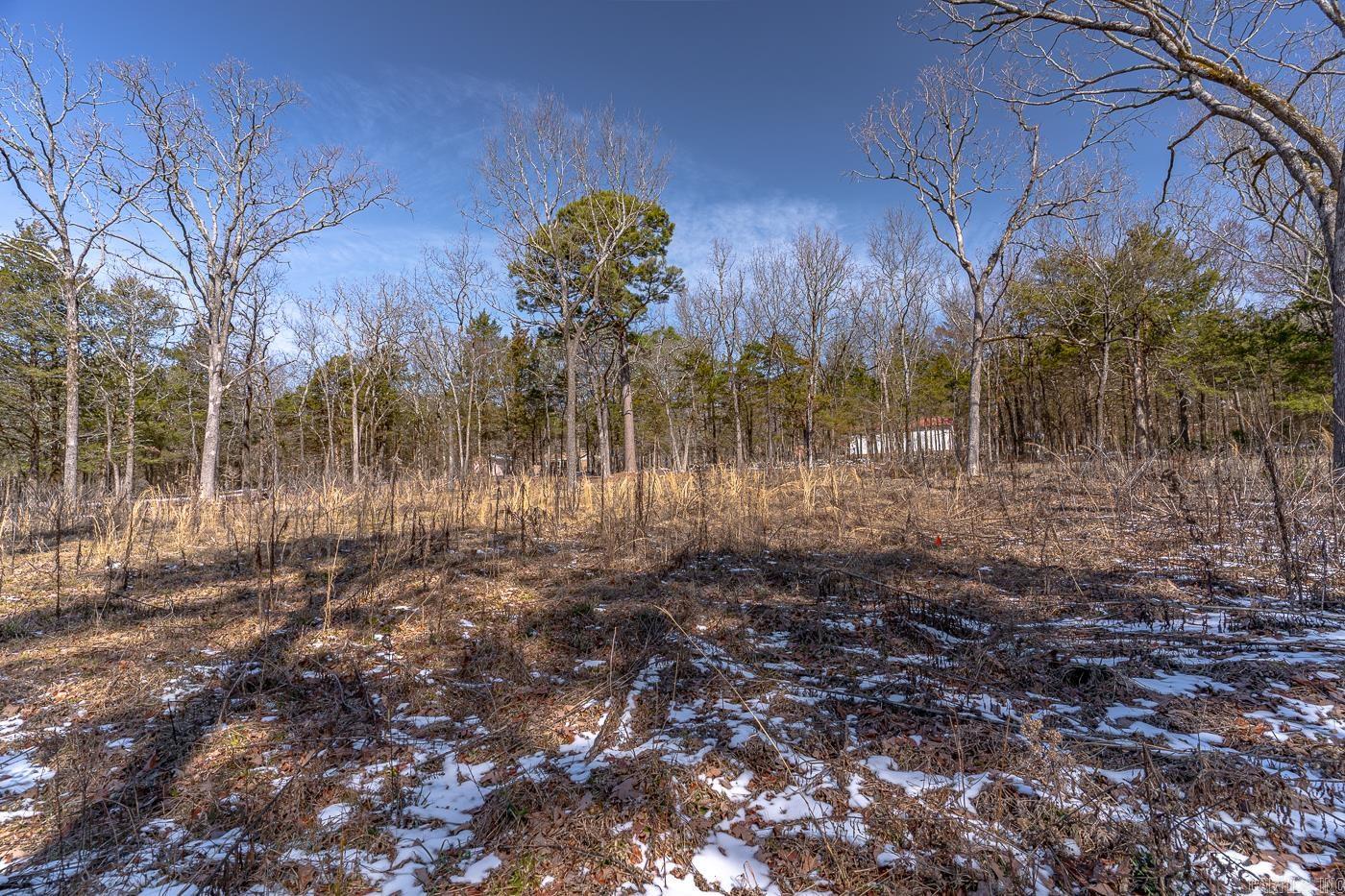 257  Cagle Rock  Russellville, AR