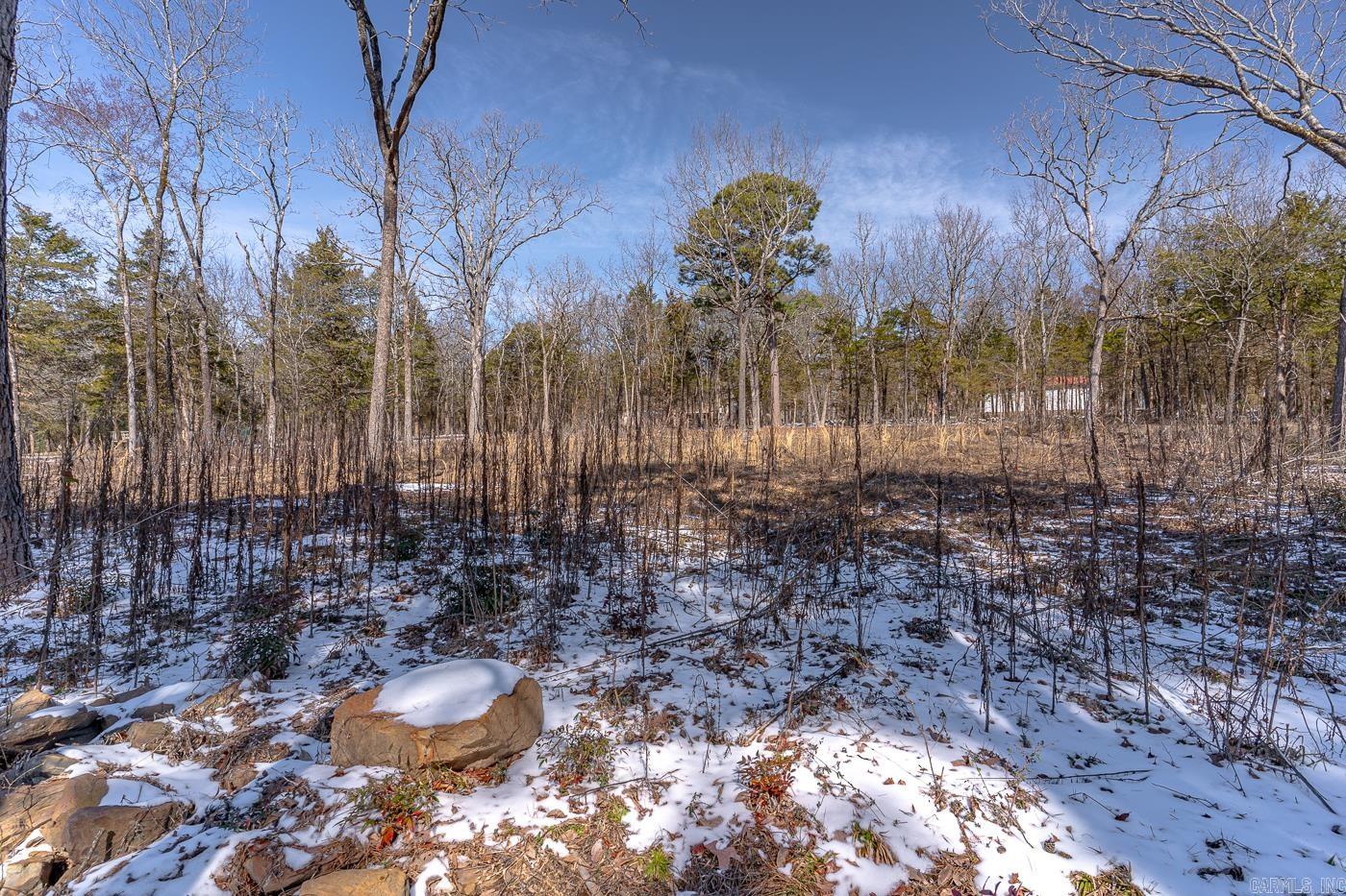 257  Cagle Rock  Russellville, AR
