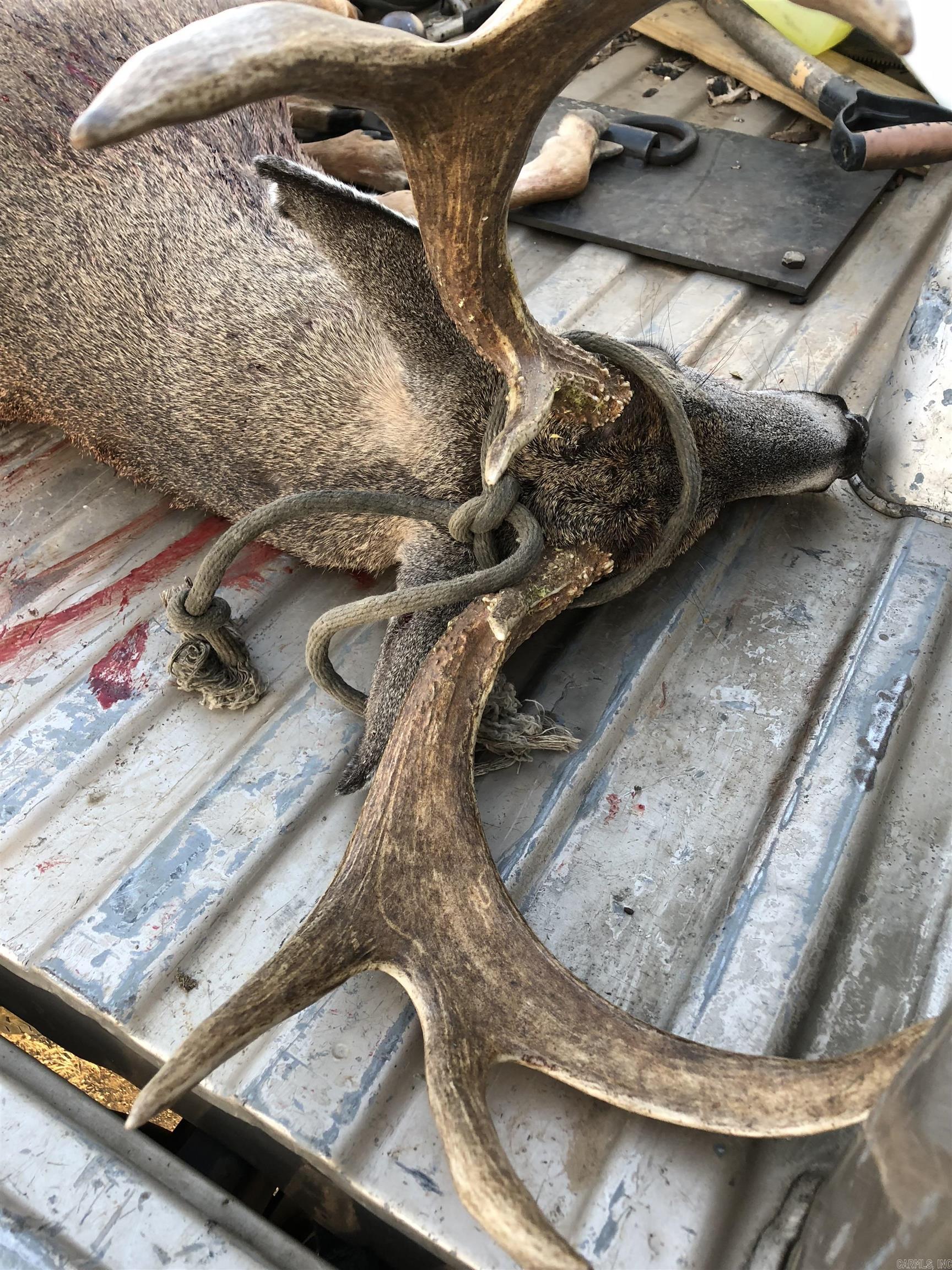 10191  Hwy. 377  Marshall, AR
