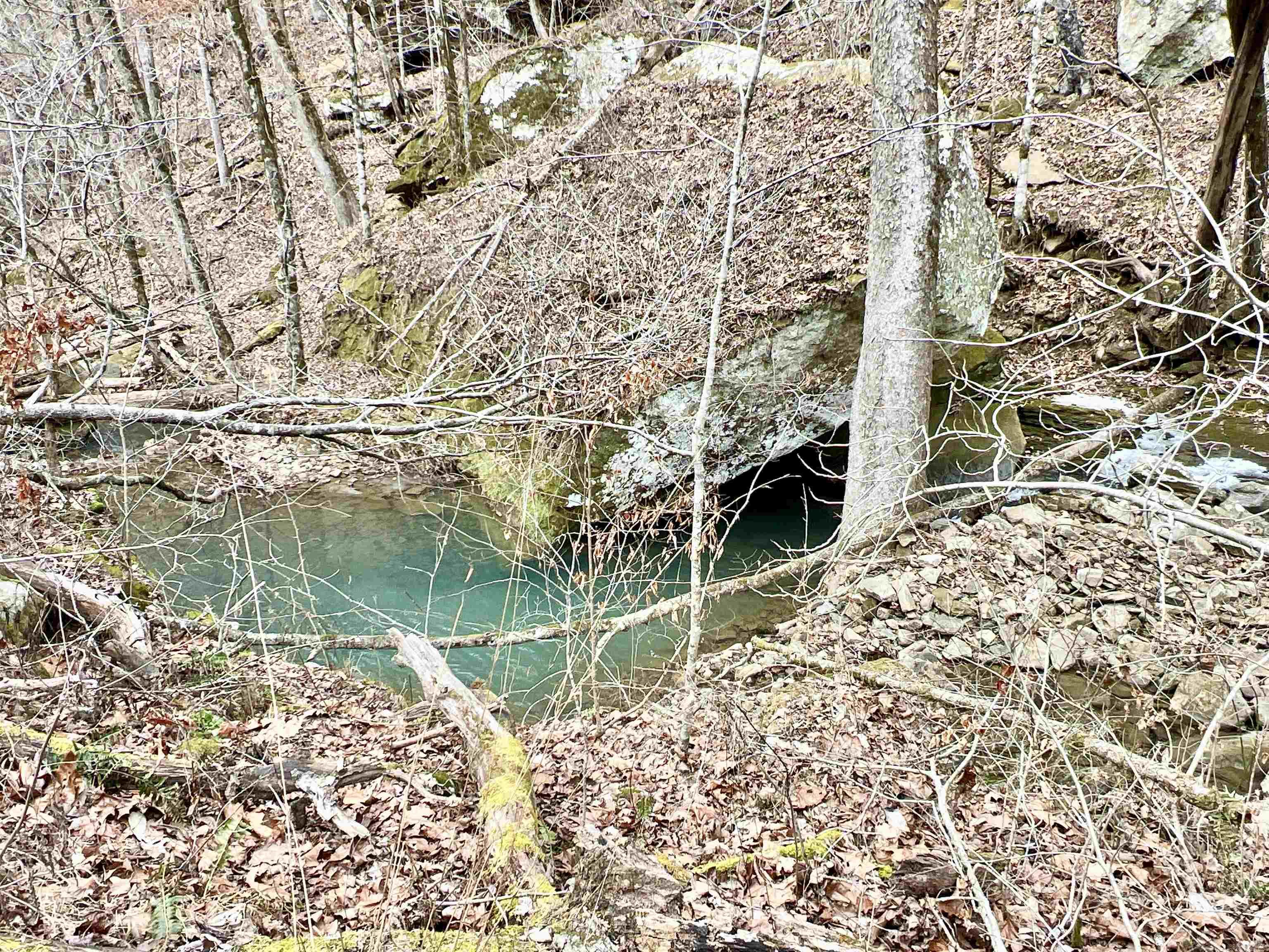 10191  Hwy. 377  Marshall, AR