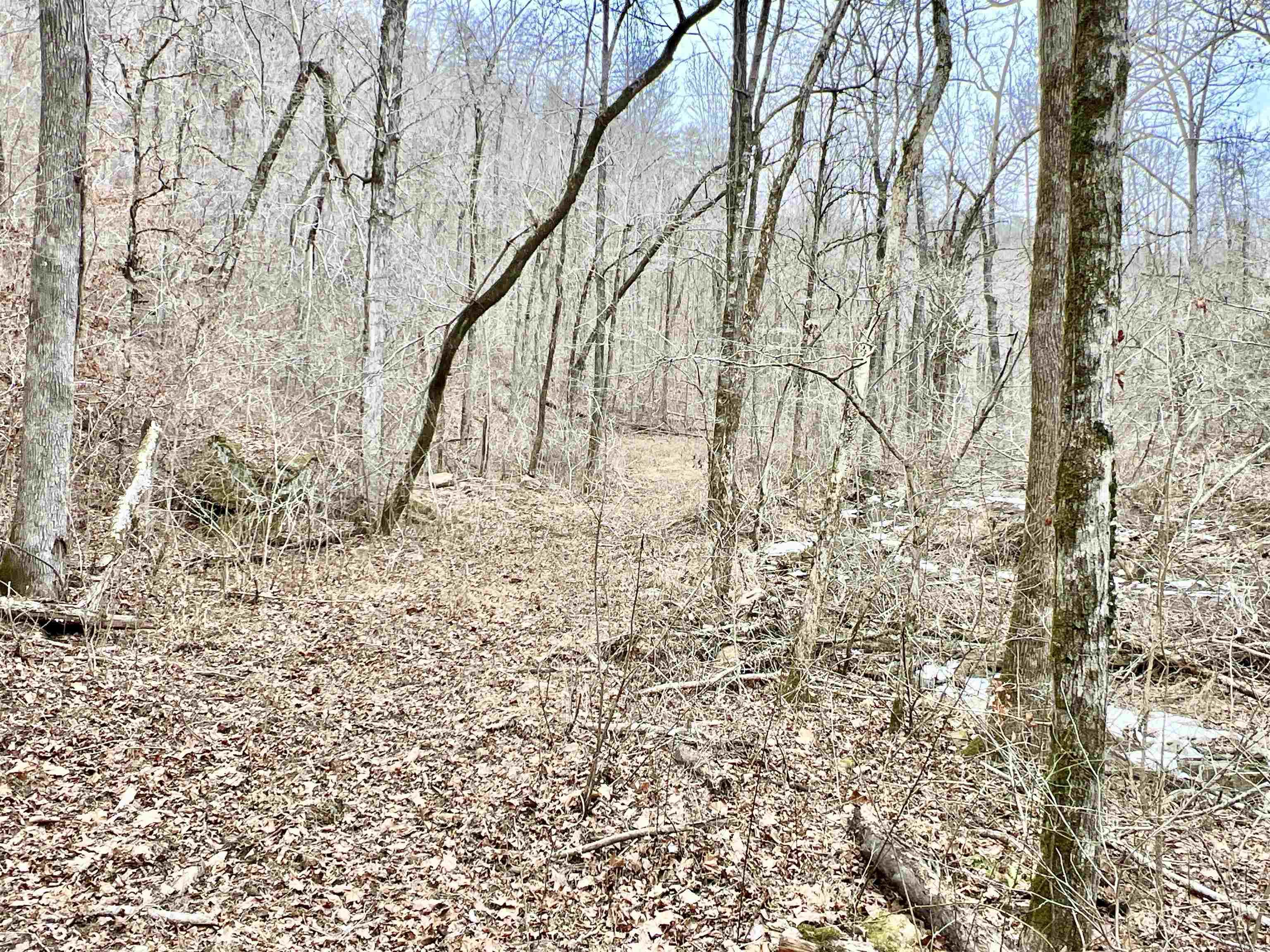 10191  Hwy. 377  Marshall, AR