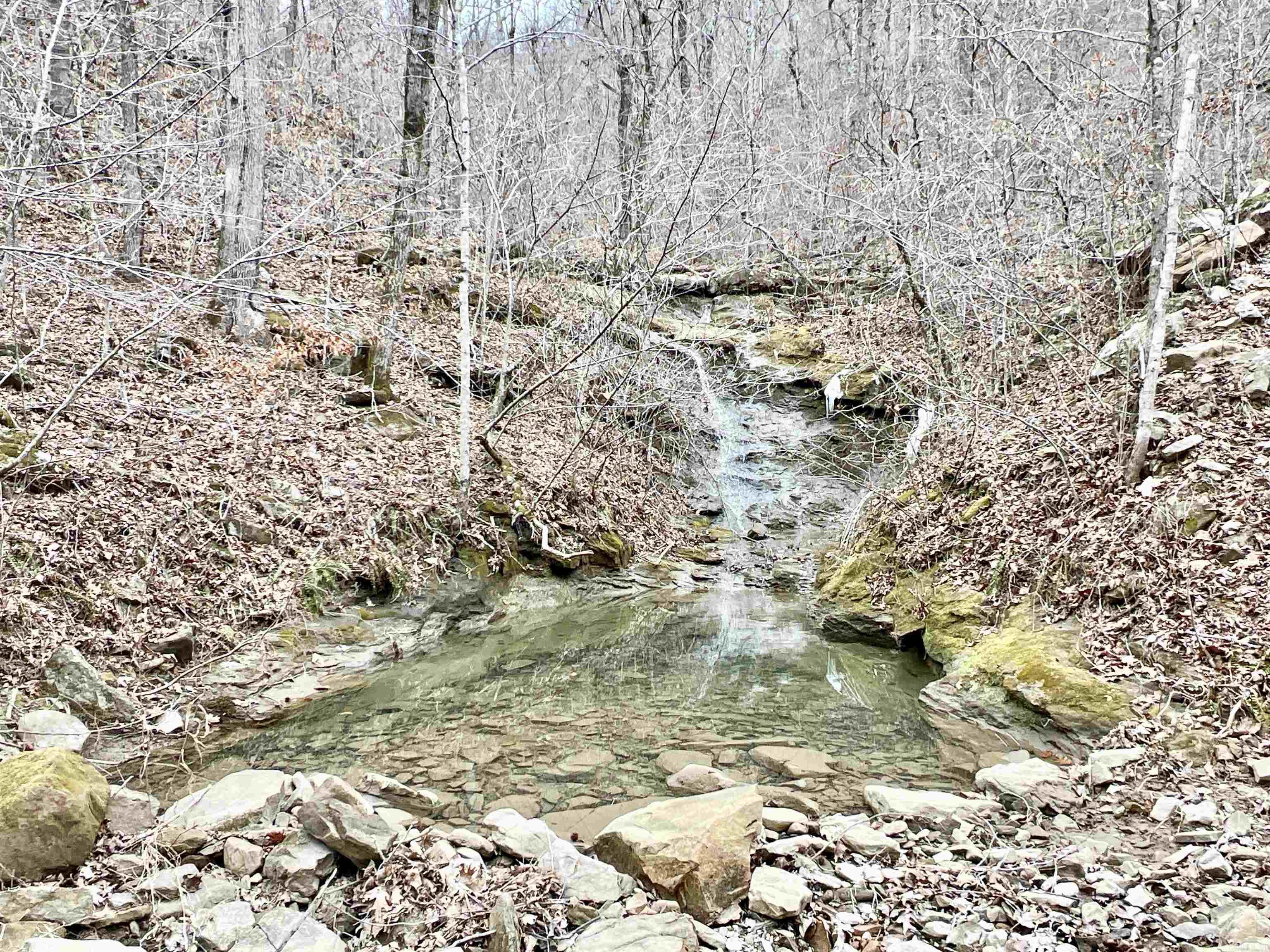 10191  Hwy. 377  Marshall, AR