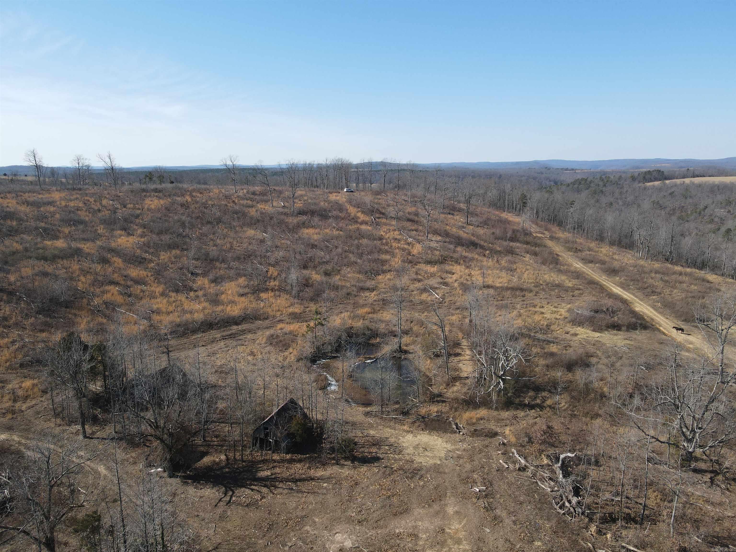 10191  Hwy. 377  Marshall, AR