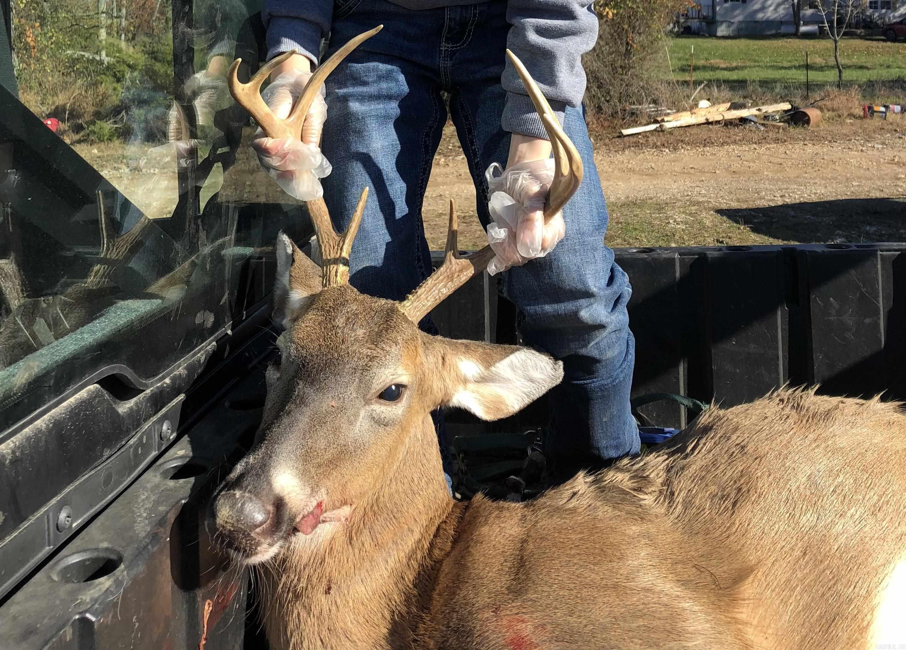 10191  Hwy. 377  Marshall, AR