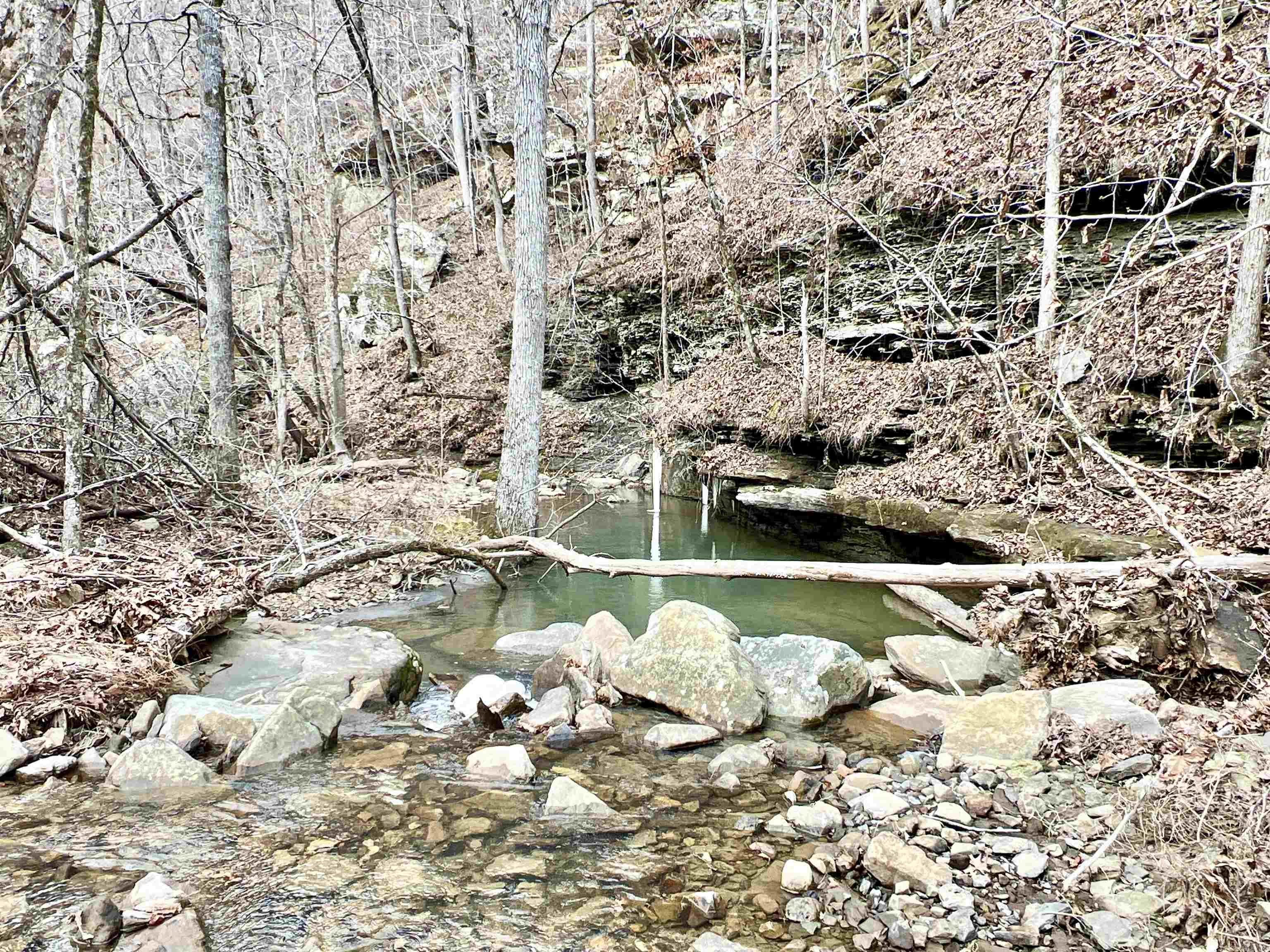 10191  Hwy. 377  Marshall, AR