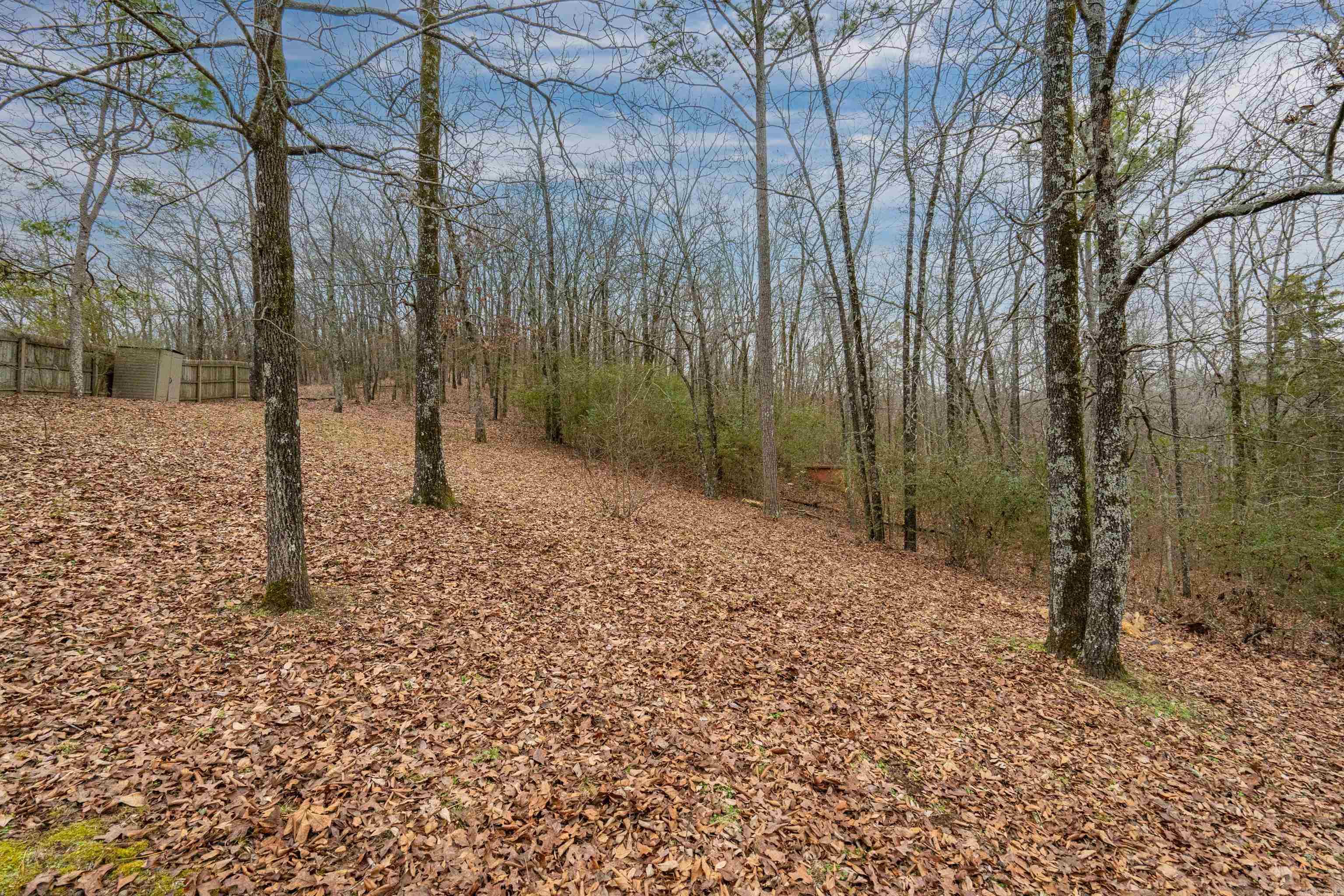 249 and 251  San Carlos  Hot Springs, AR