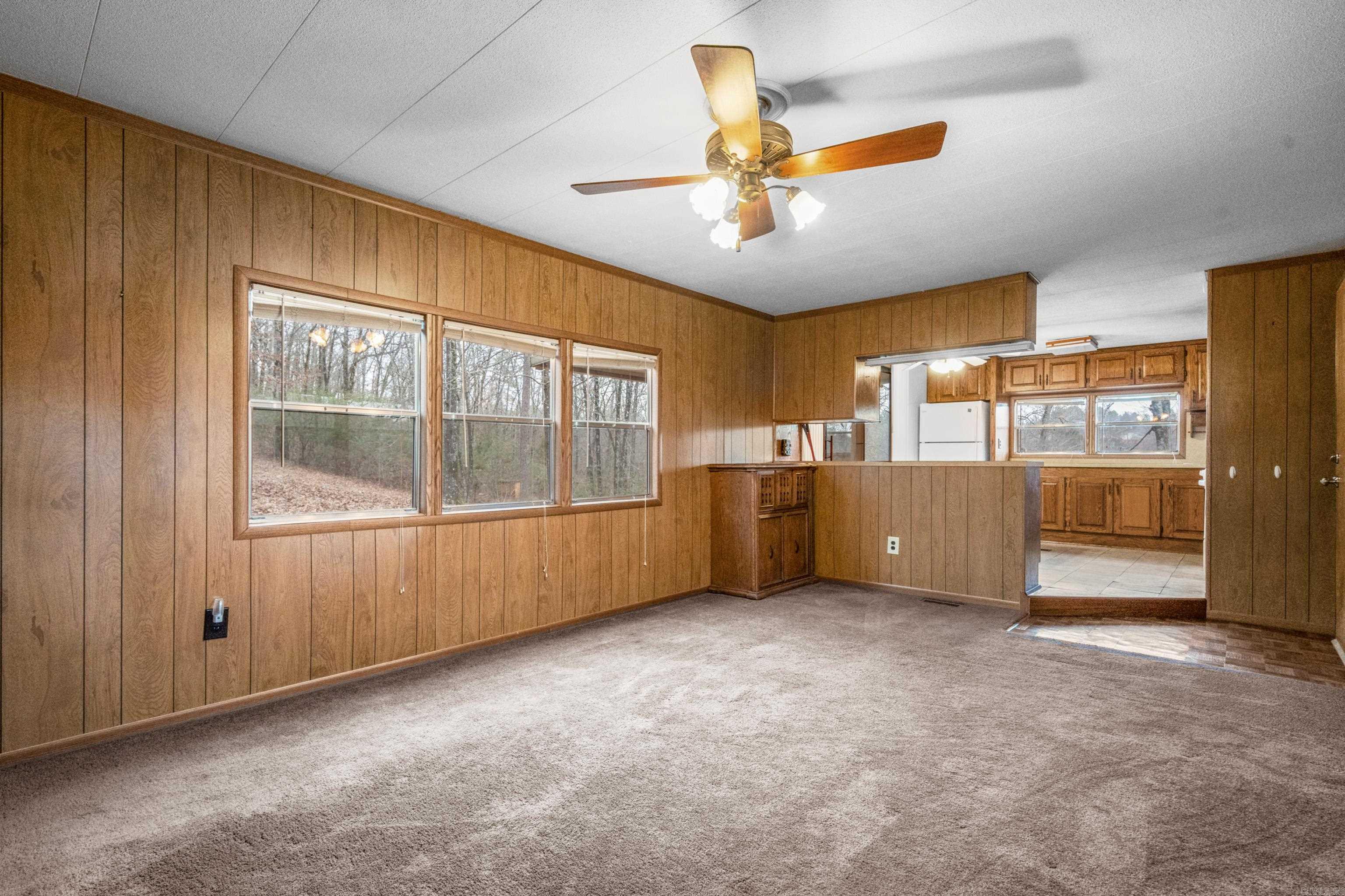 249 and 251  San Carlos  Hot Springs, AR