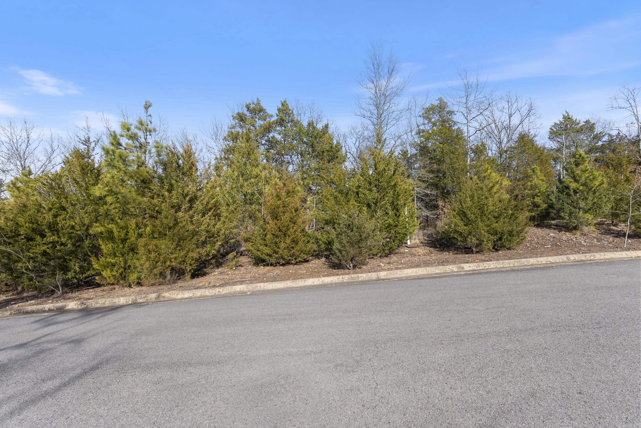 960  Timber Knoll Drive  Conway, AR