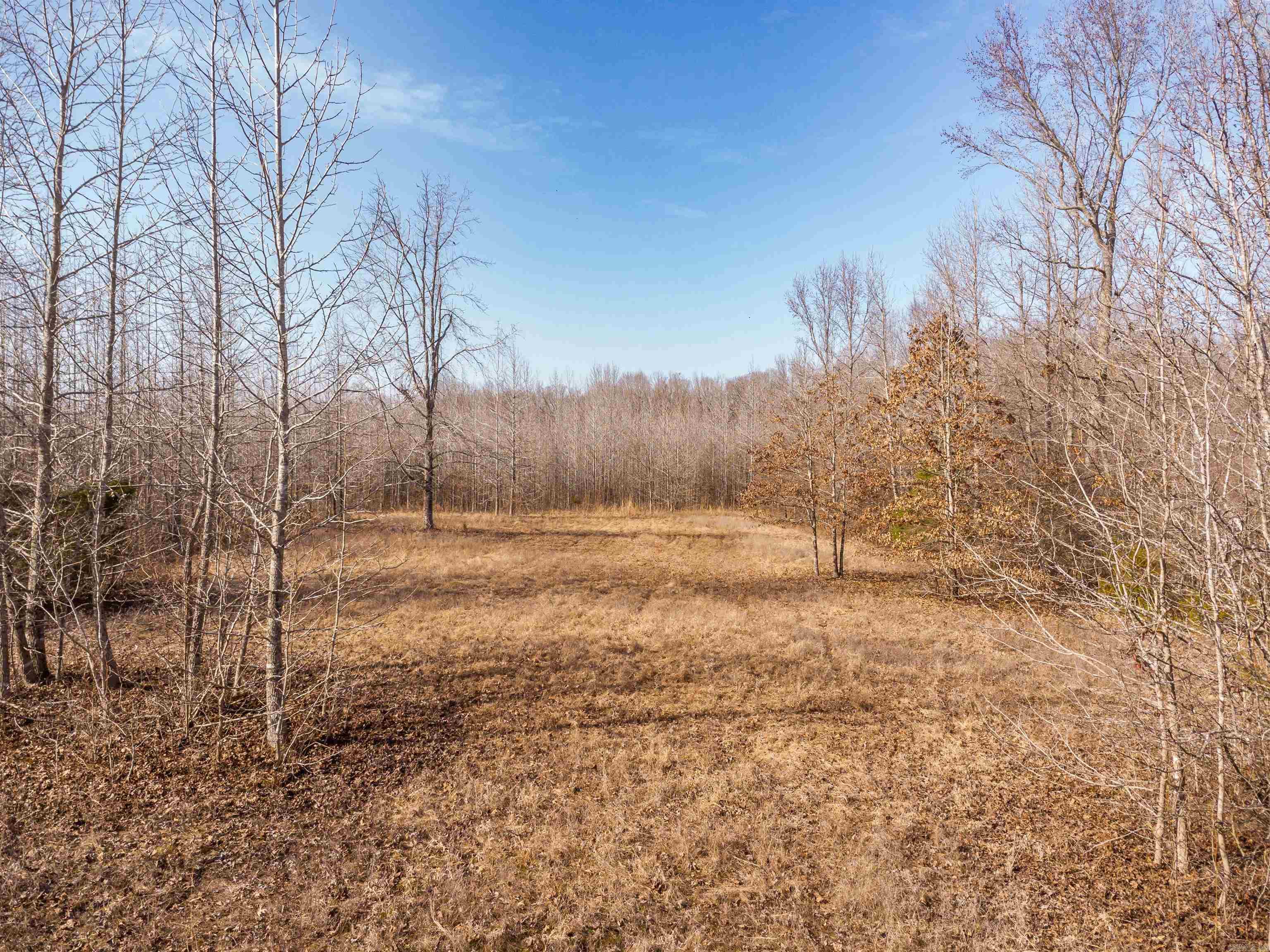 0000  Clay Hill Tract 3  Austin, AR