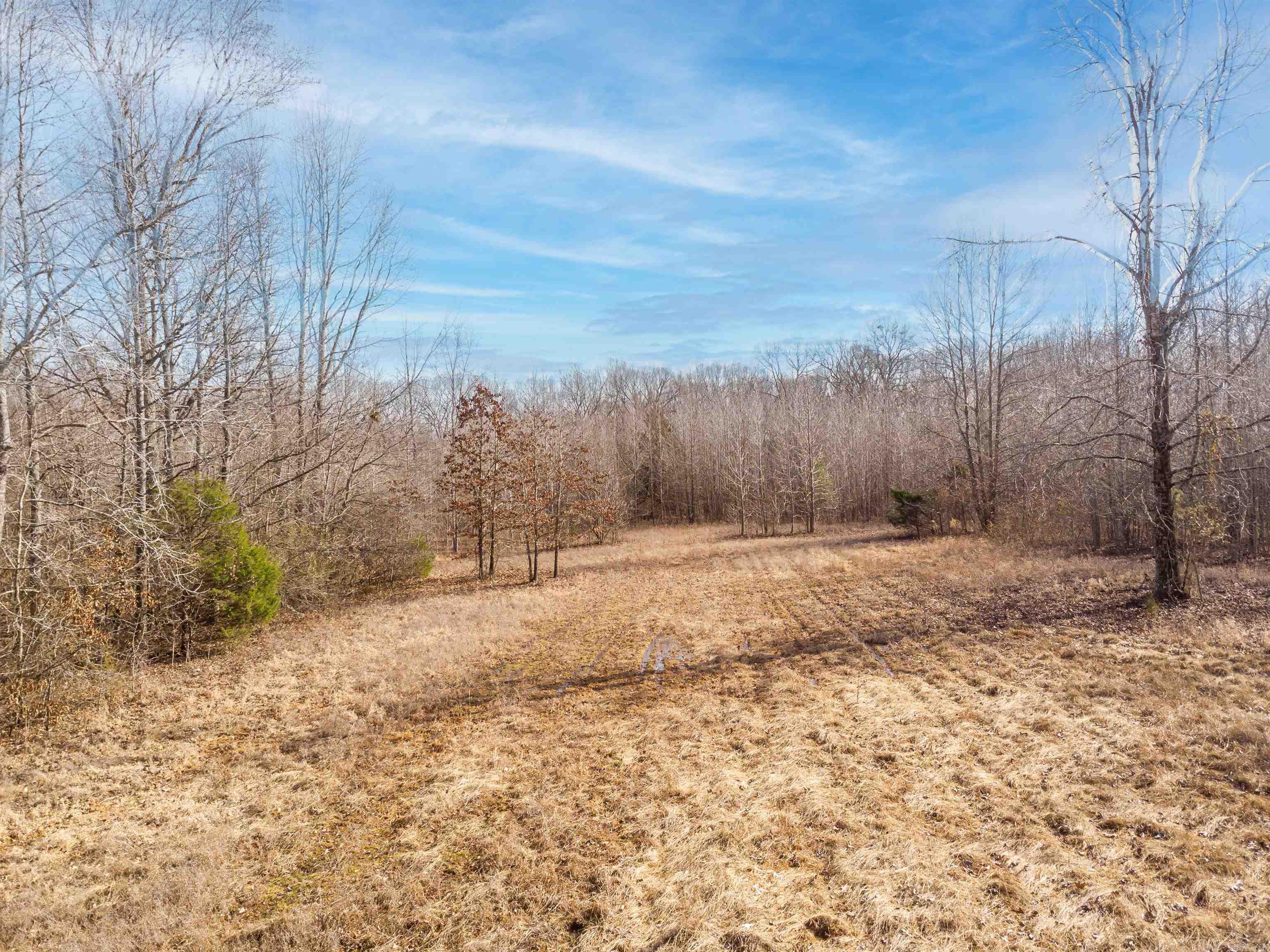 0000  Clay Hill Tract 3  Austin, AR
