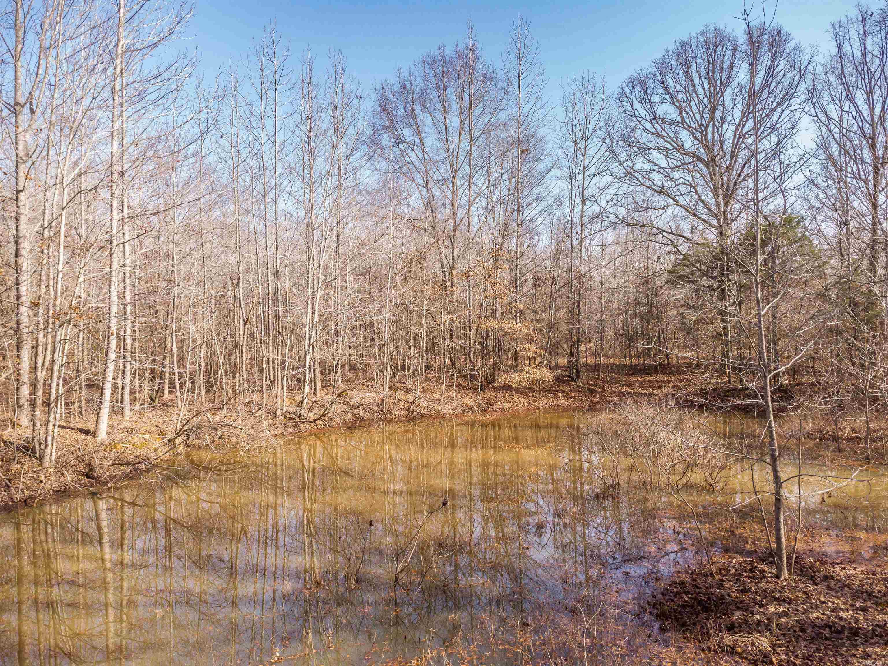0000  Clay Hill Tract 3  Austin, AR
