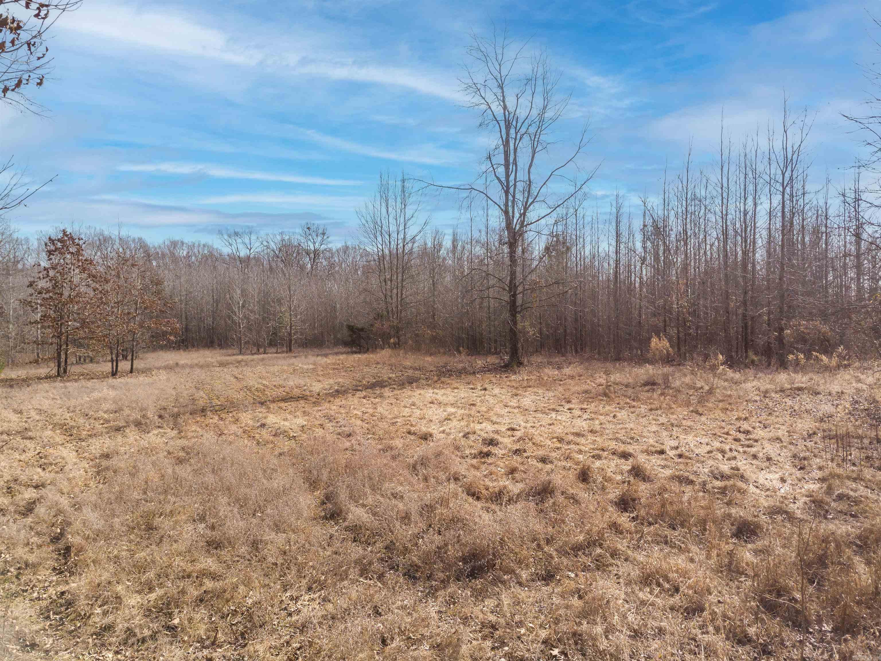 0000  Clay Hill Tract 3  Austin, AR