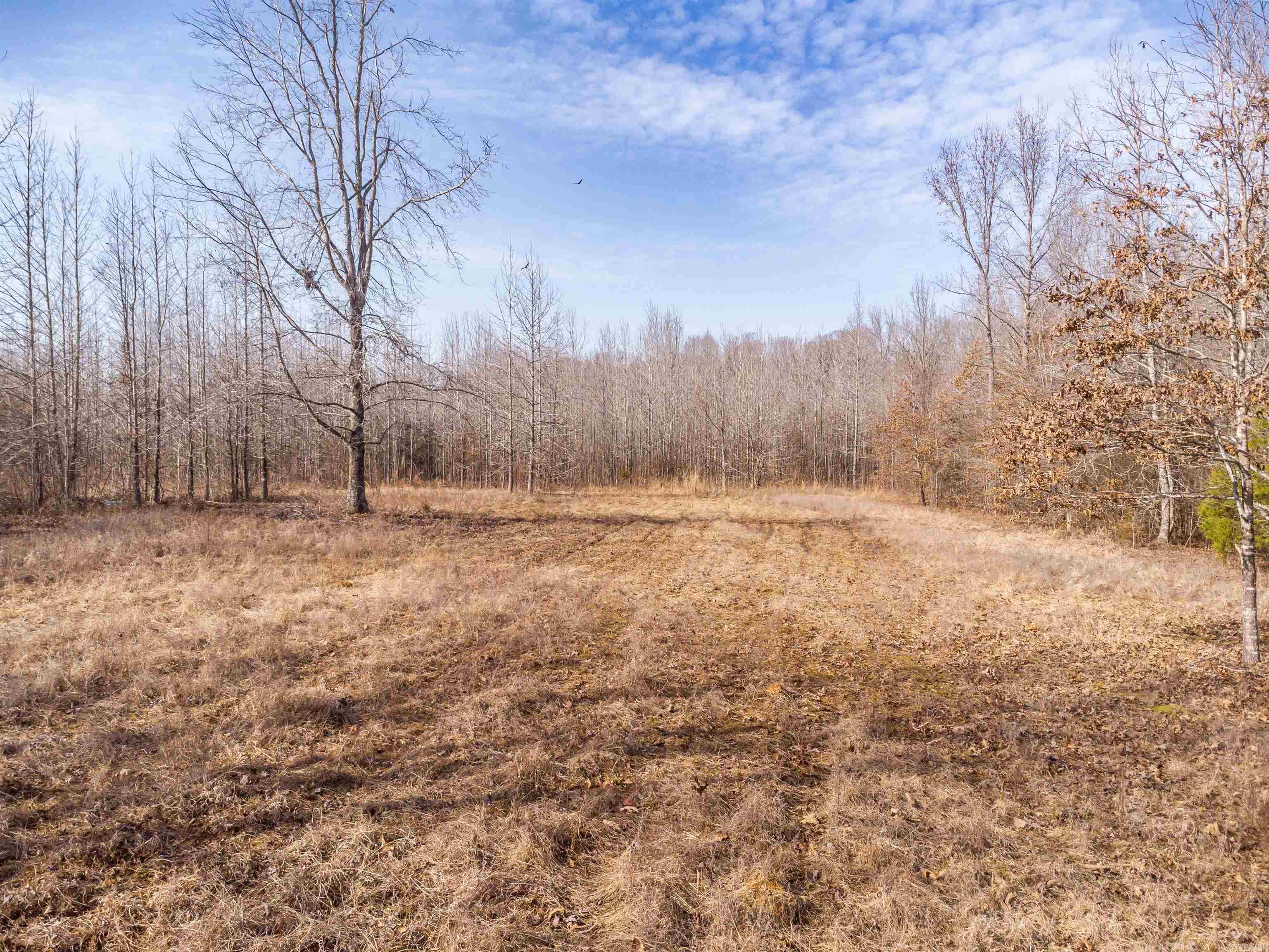 0000  Clay Hill Tract 3  Austin, AR