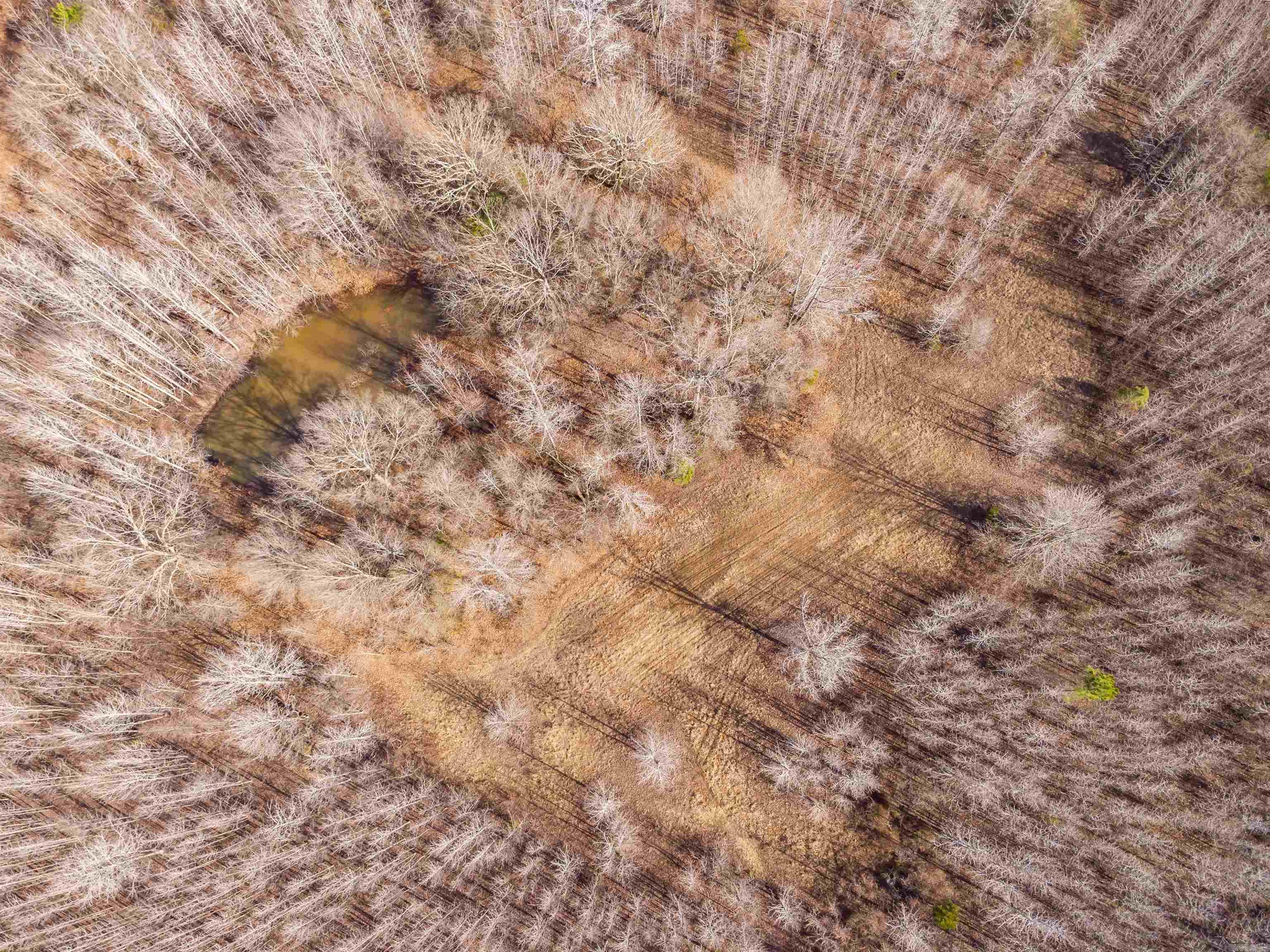 0000  Clay Hill Tract 3  Austin, AR