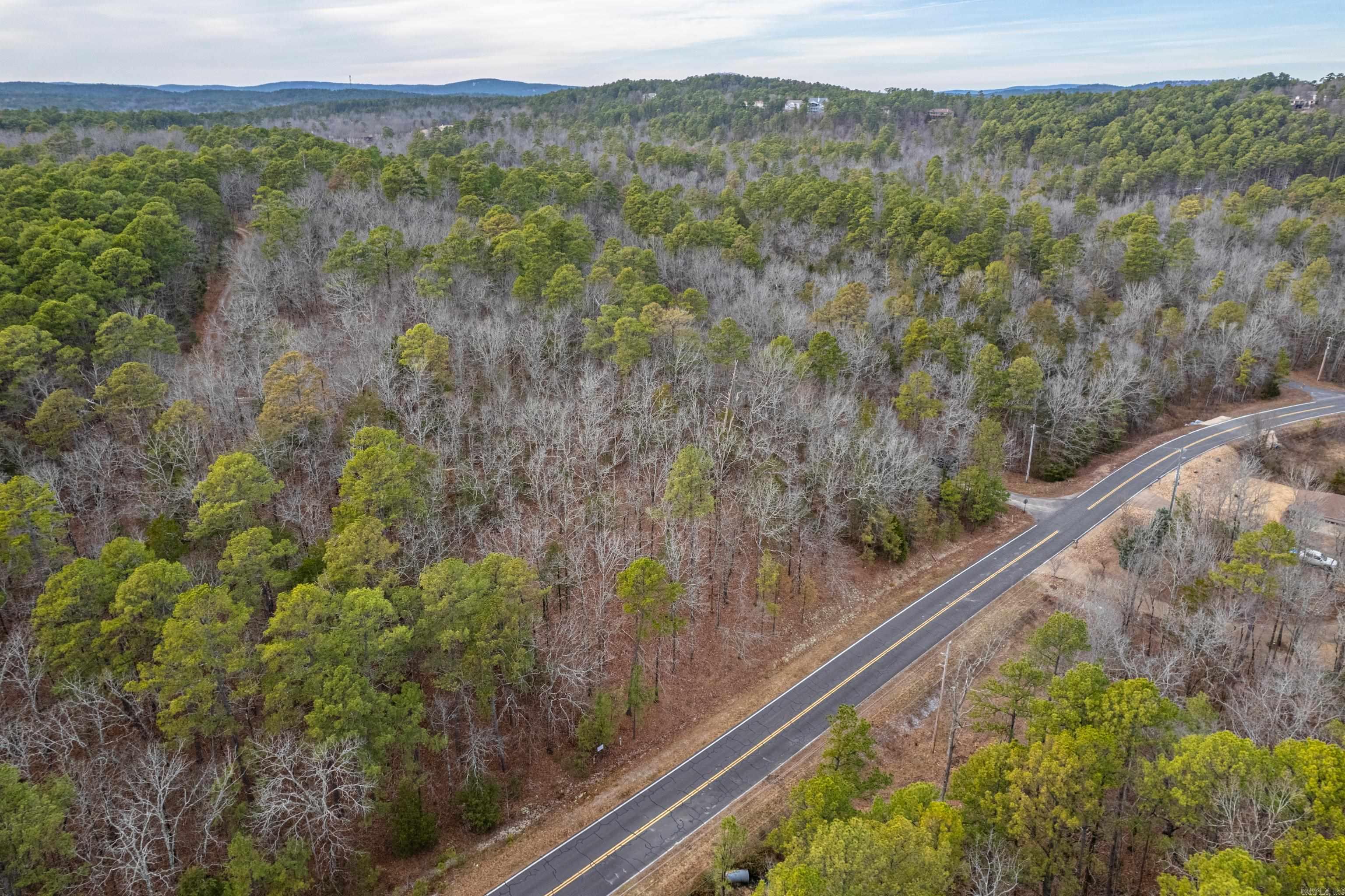 26  Levantino  Hot Springs Village, AR